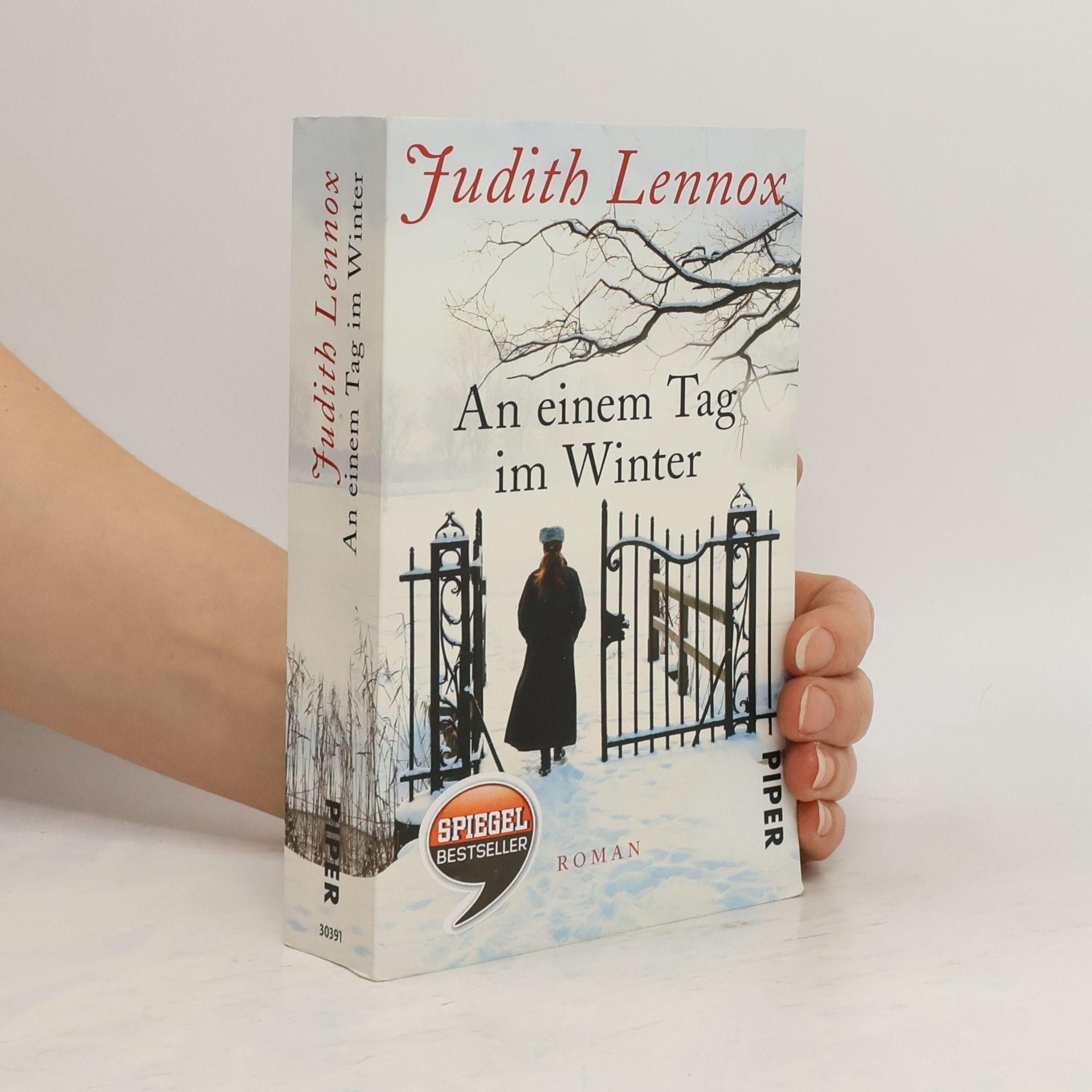 Judith Lennox An einem Tag im Winter