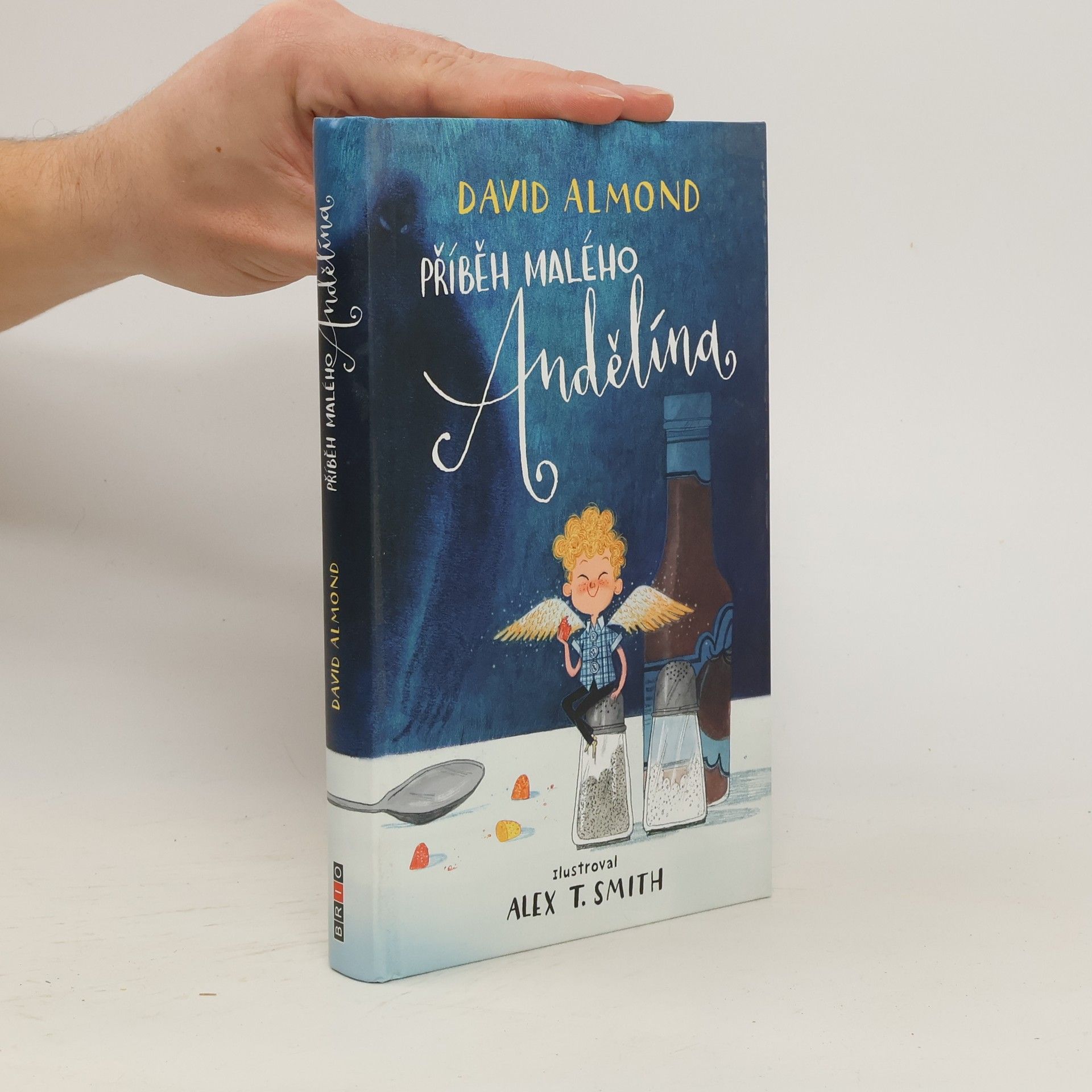 David Almond Příběh malého Andělína