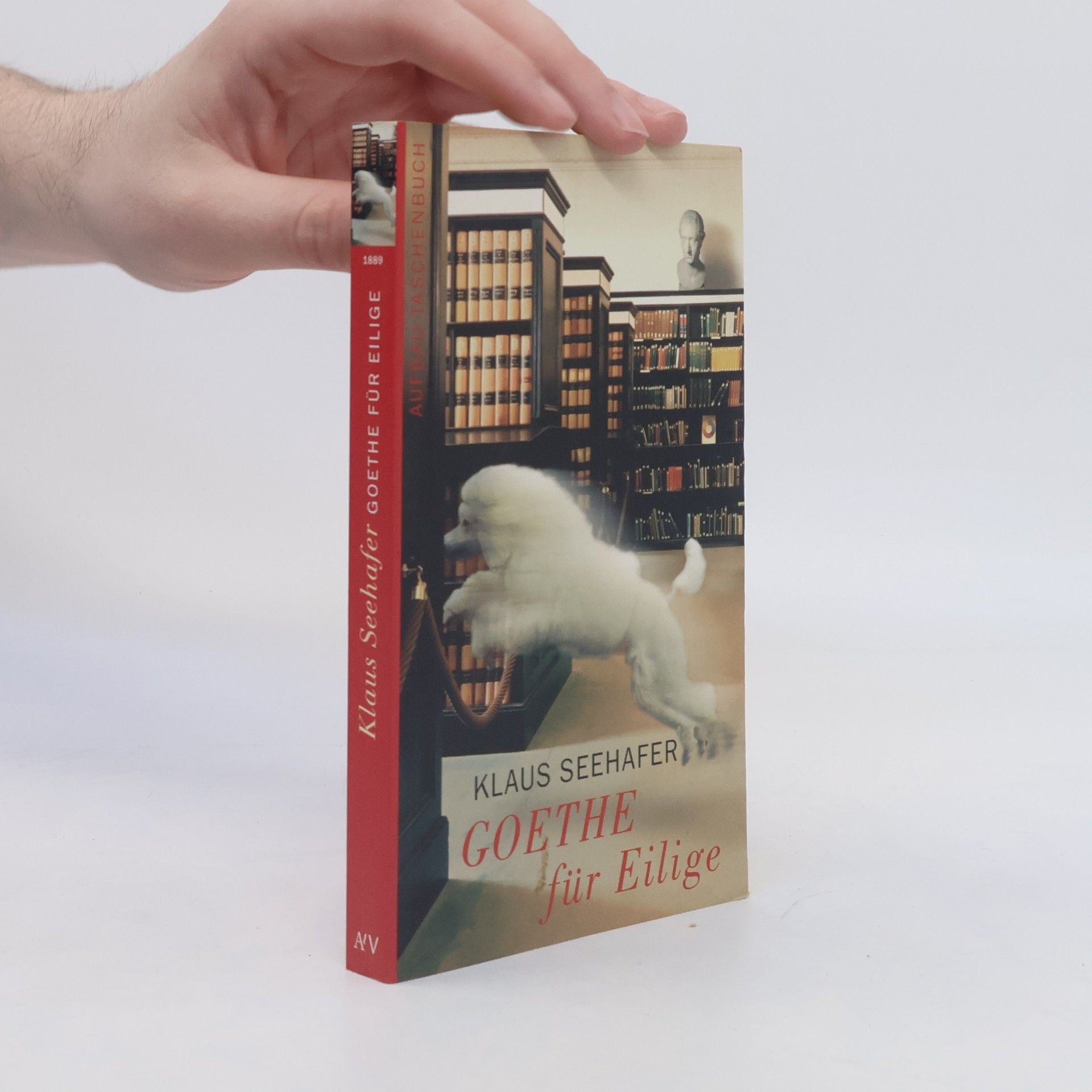 Klaus Seehafer Goethe für Eilige