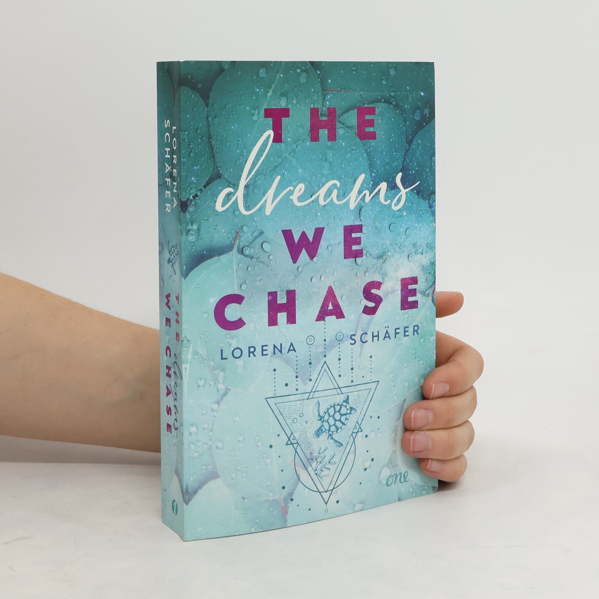 Lorena Schäfer The dreams we chase - Emerald Bay, Band 3