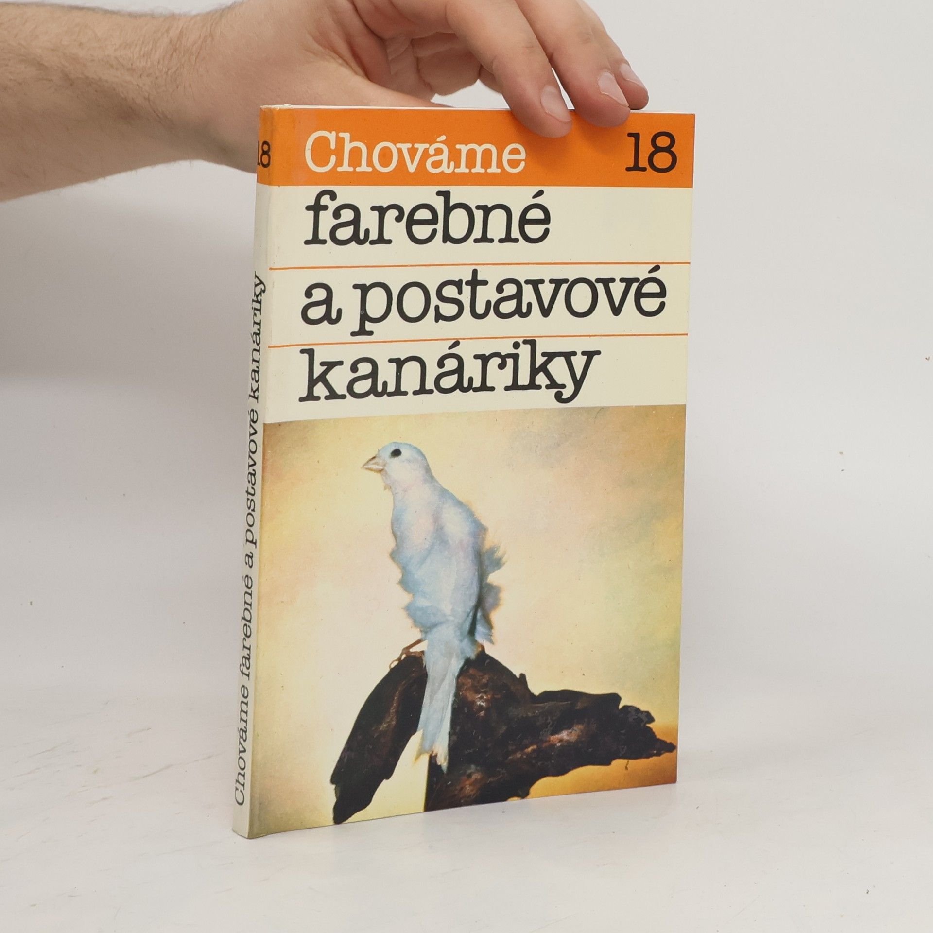 Bystrík Ambruš Chováme farebné a postavové kanáriky