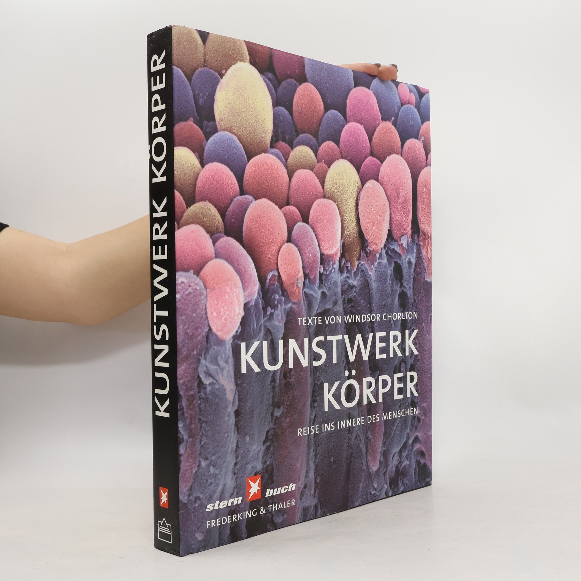 Windsor Chorlton Kunstwerk Körper