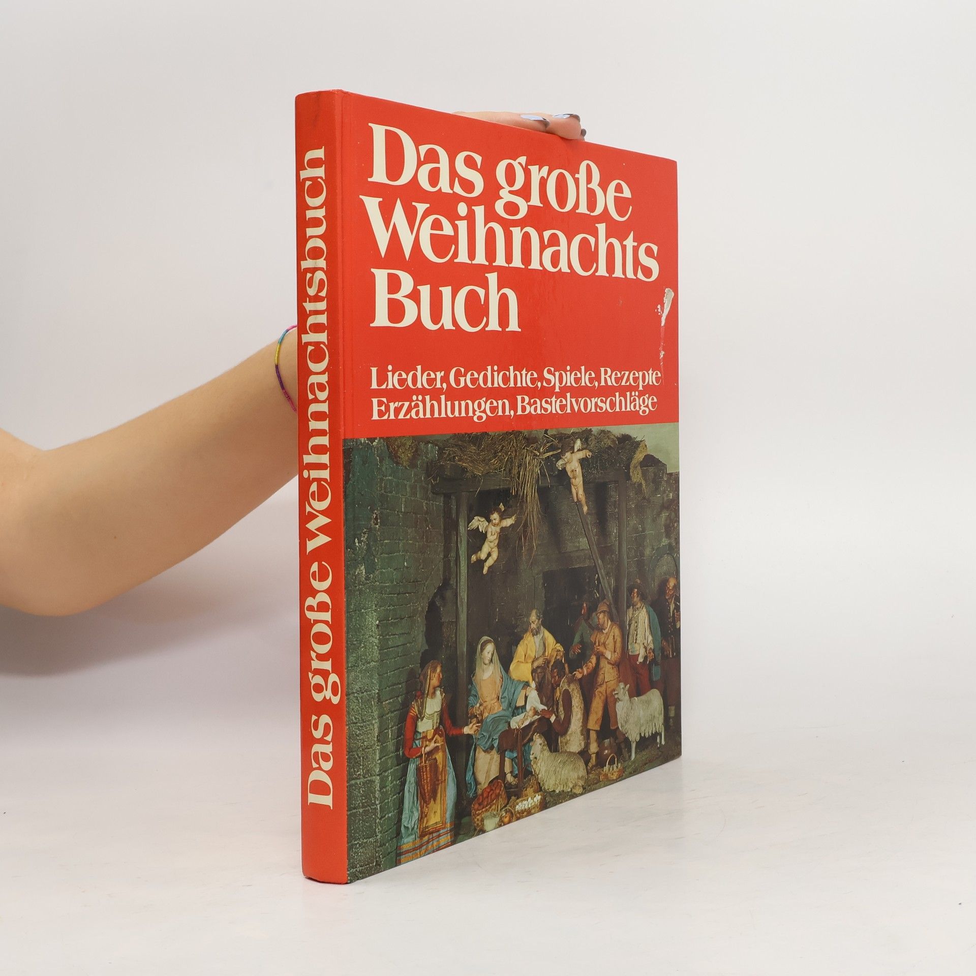 Collectif d'auteurs Das große Weihnachtsbuch