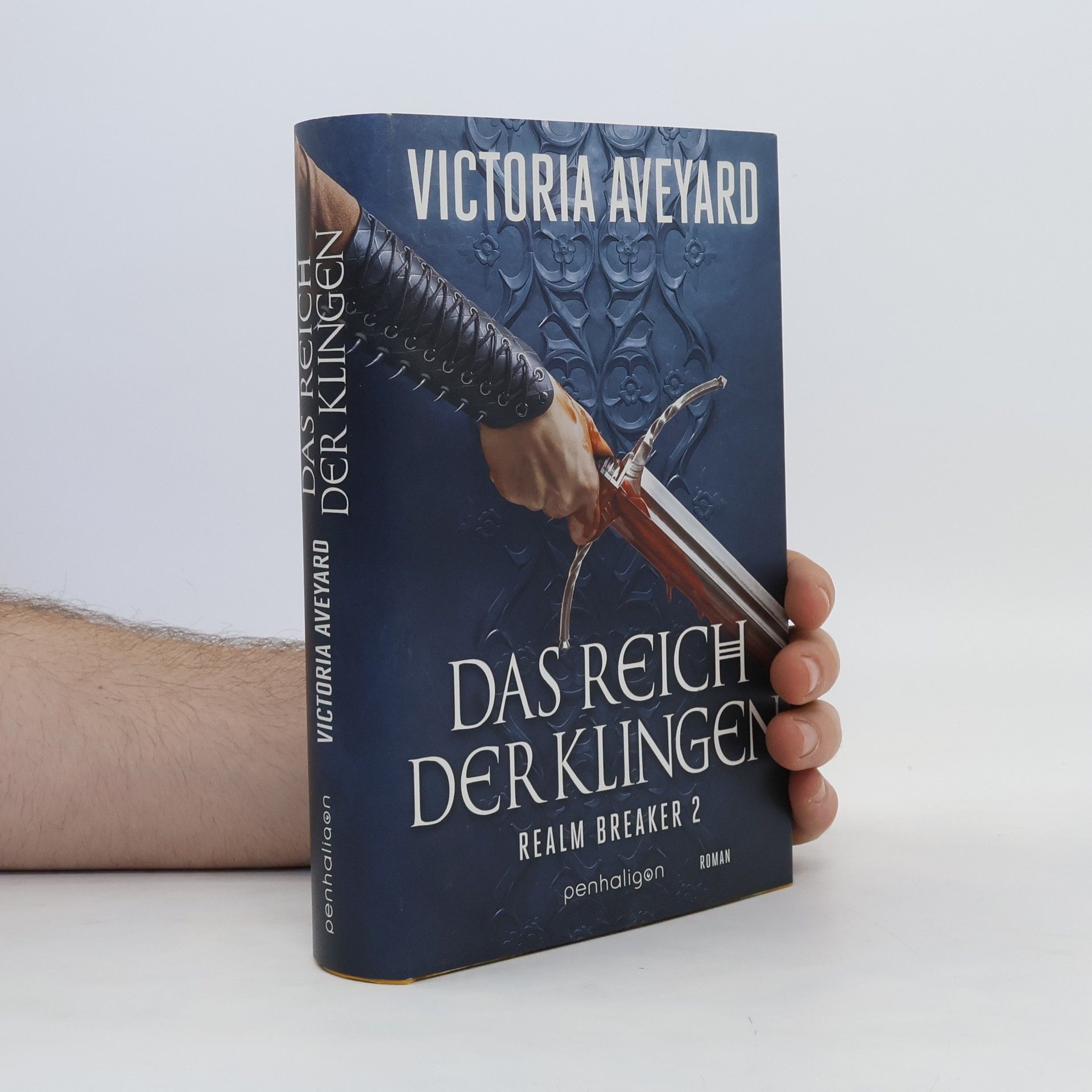 Victoria Aveyard Das Reich der Klingen - Realm Breaker 2