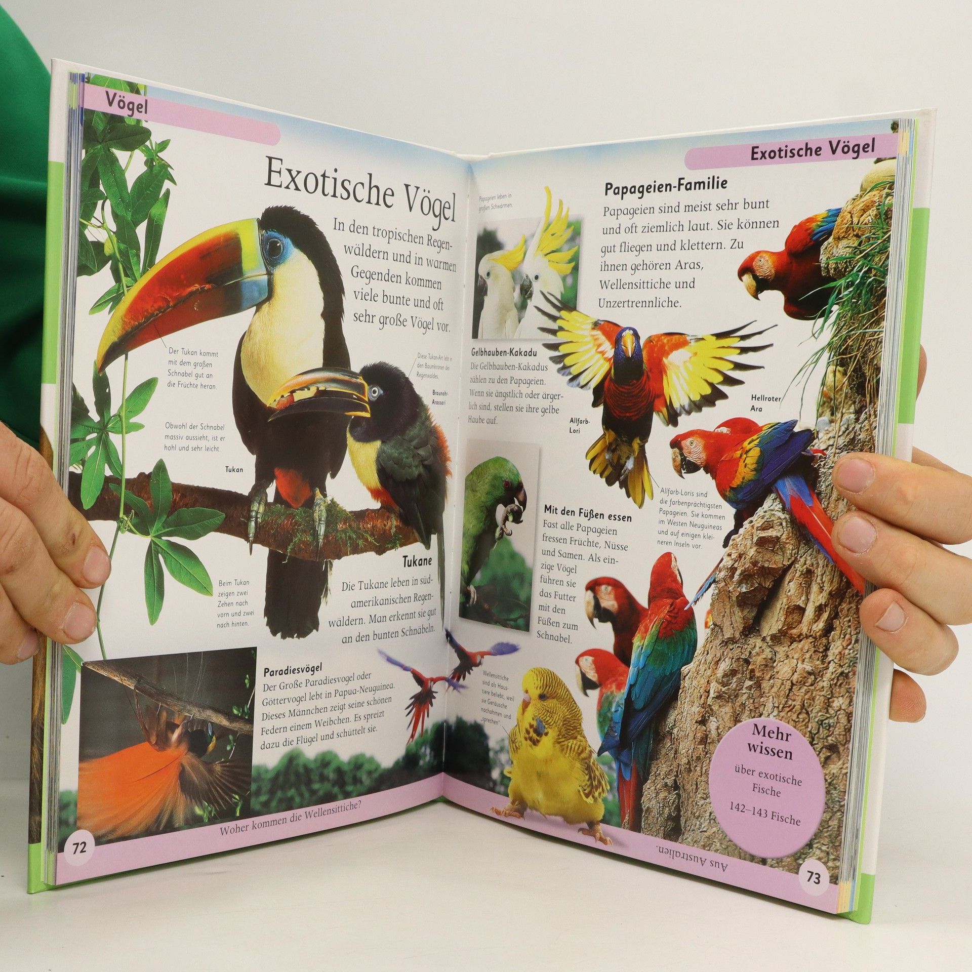 Penelope Arlon Tierlexikon für Kinder