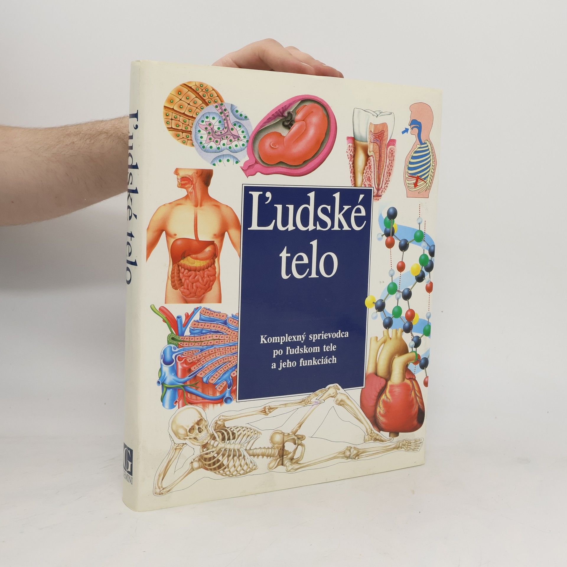 kolektiv Ľudské telo