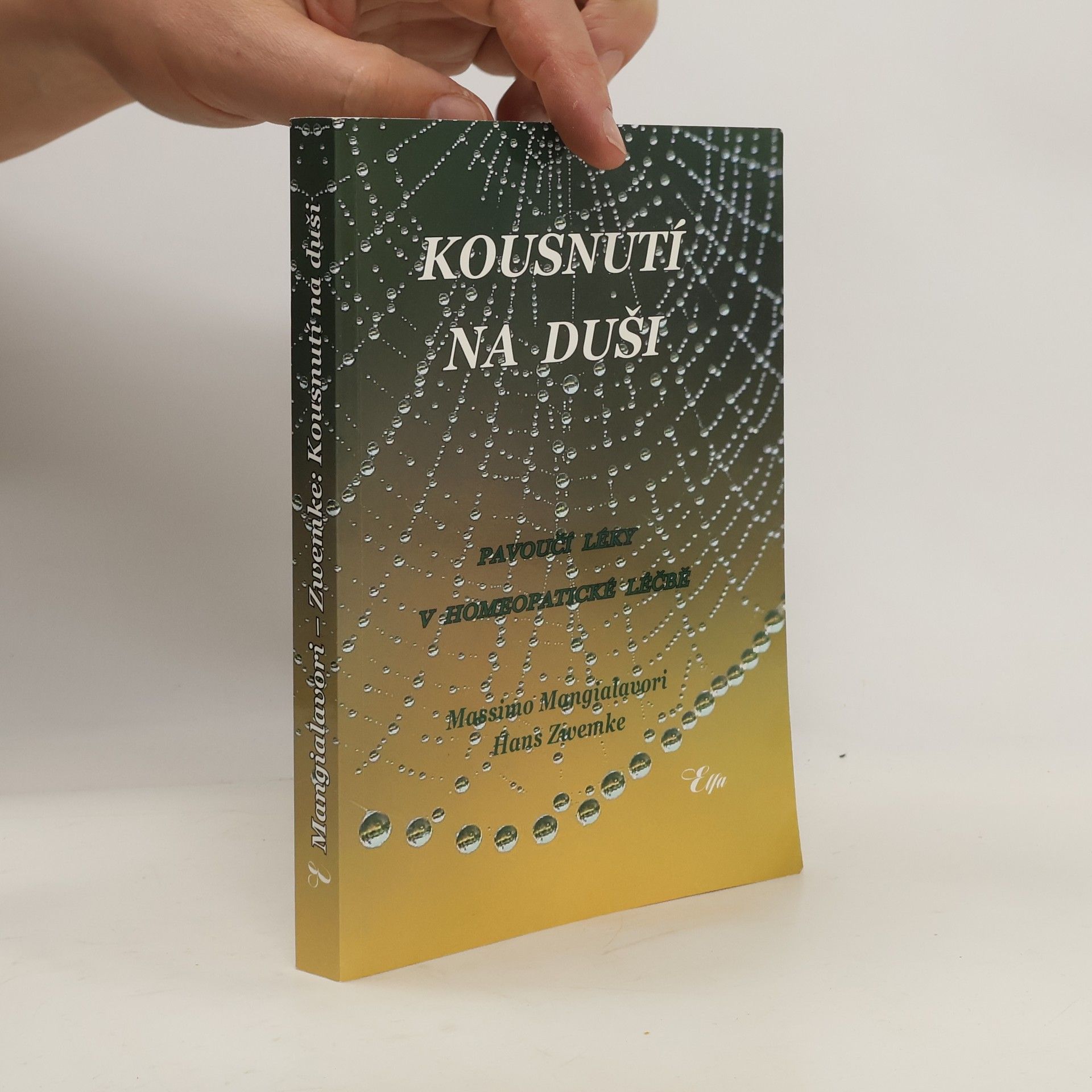 Massimo Mangialavori Kousnutí na duši: pavoučí léky v homeopatické léčbě