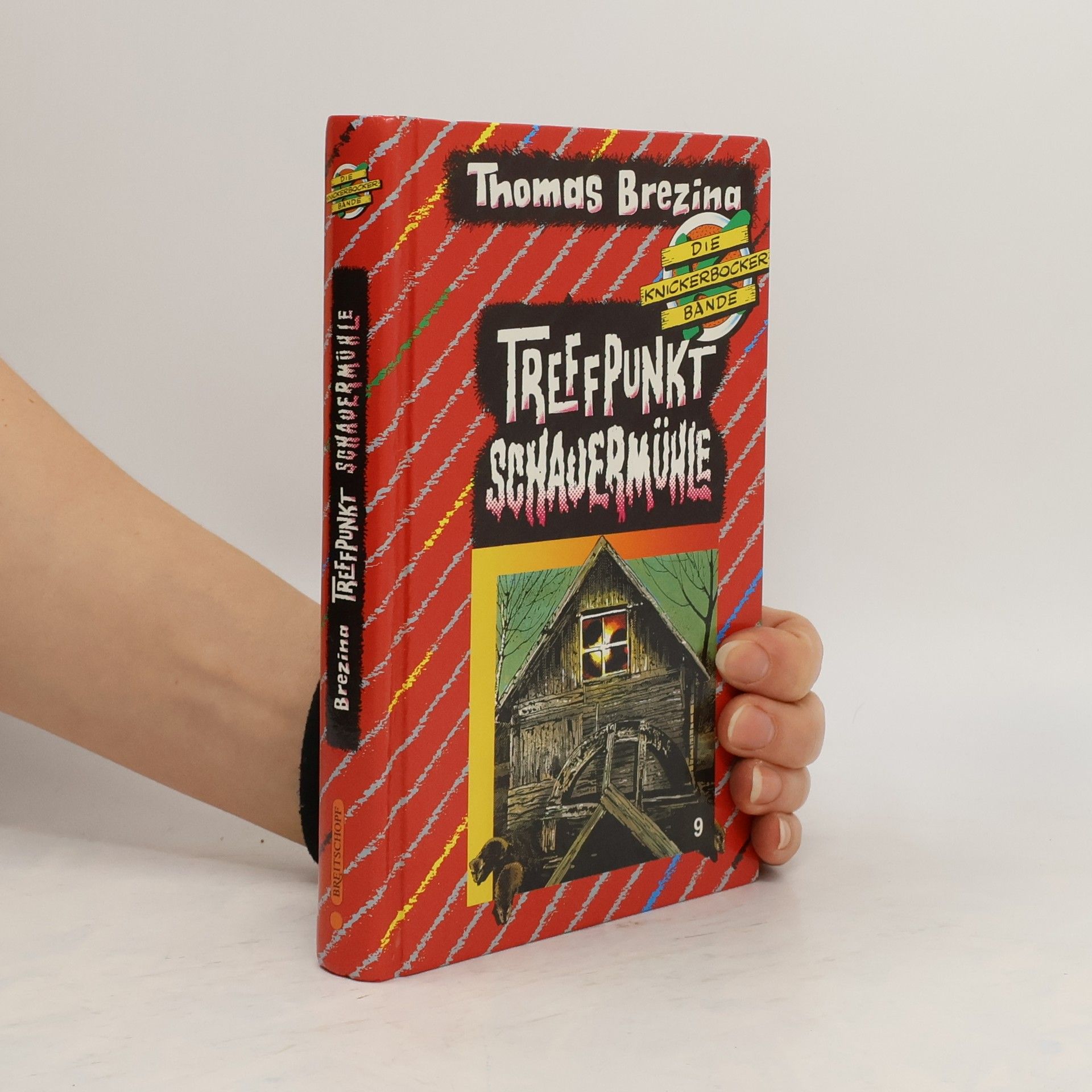 Thomas Brezina Die Knickerbocker-Bande. Trefpunkt Schauermühle