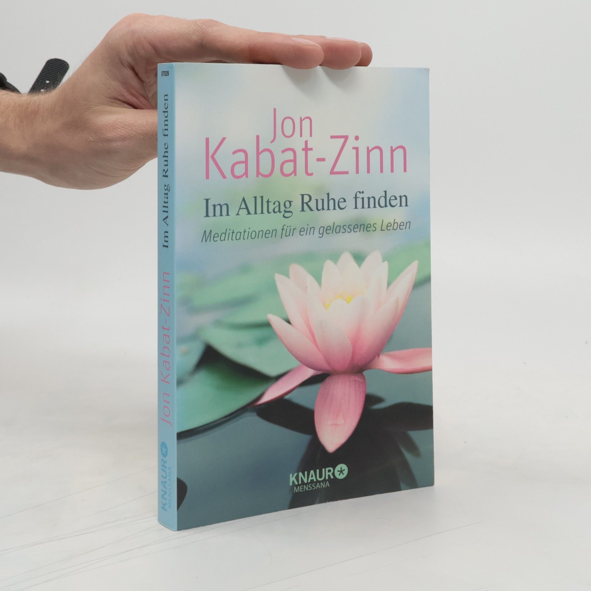 Jon Kabat-Zinn Im Alltag Ruhe finden