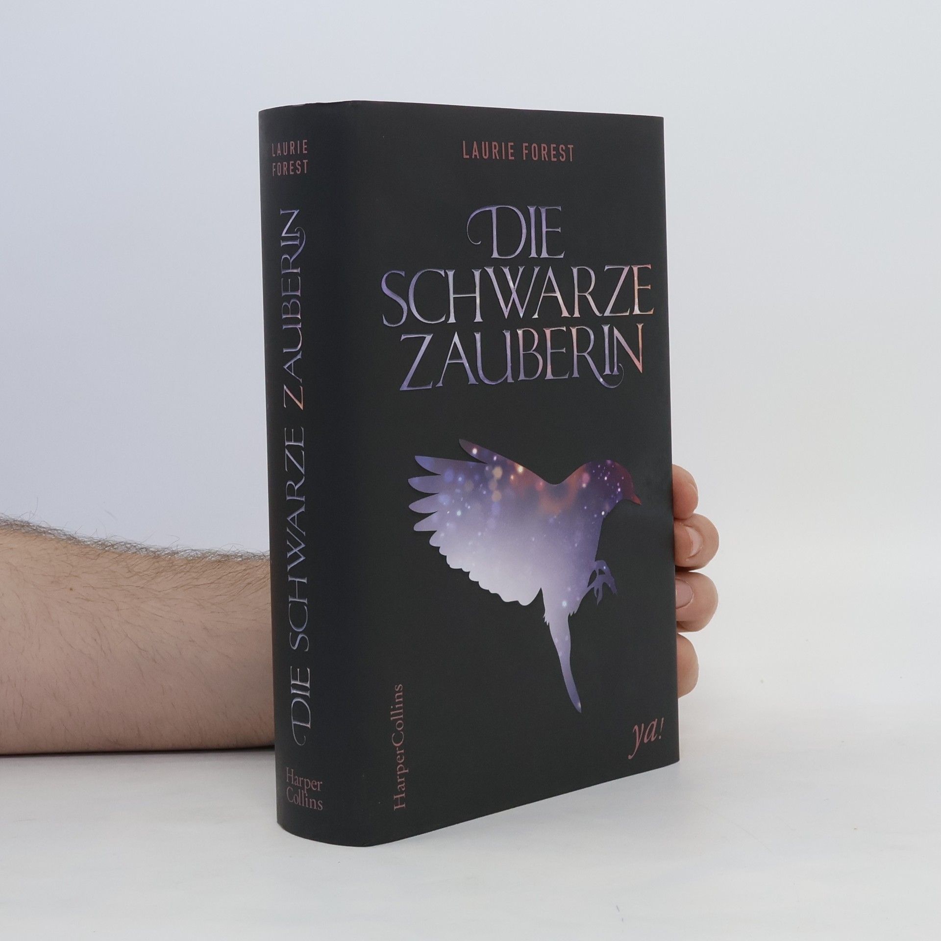 Laurie Forest Die schwarze Zauberin