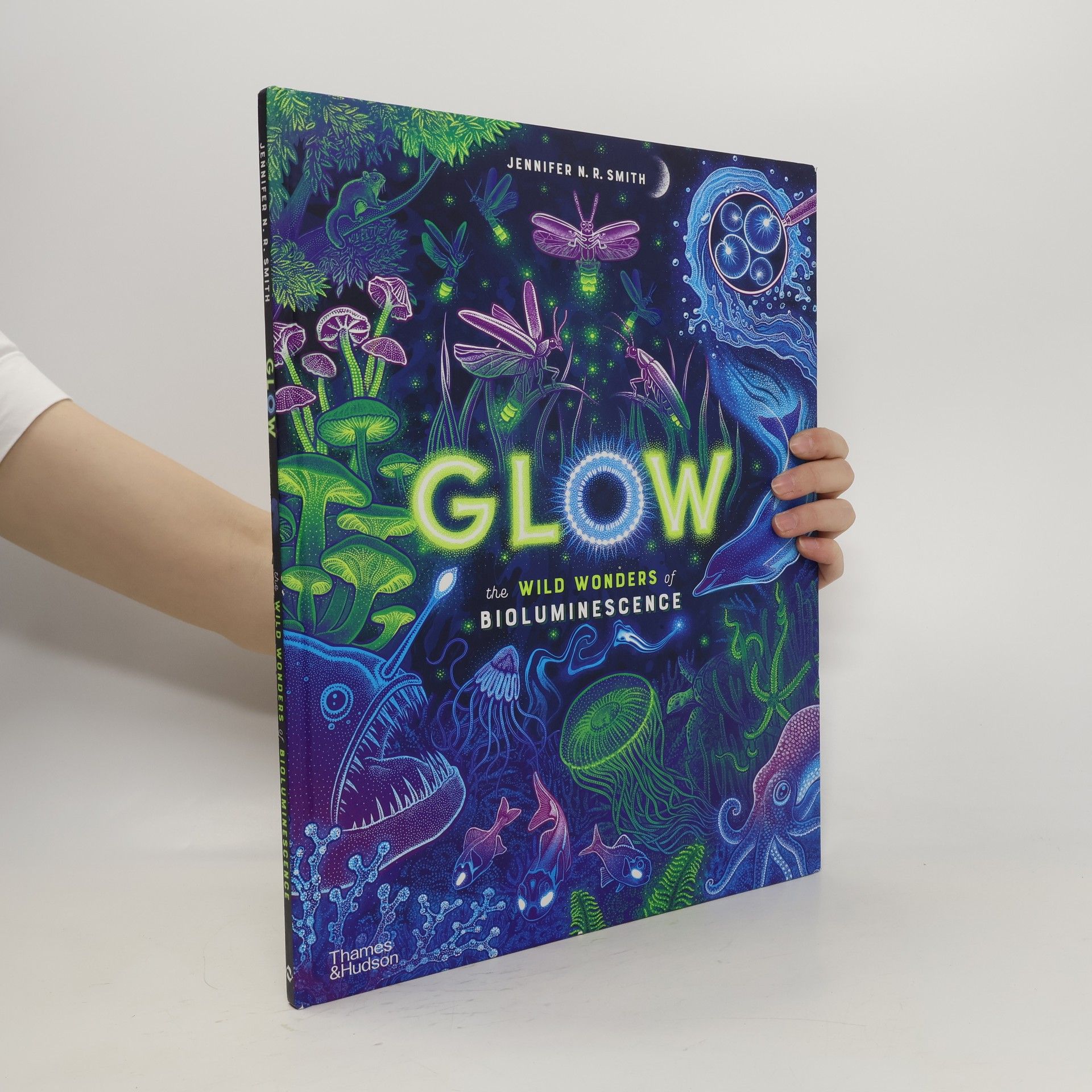 Jennifer E. Smith Glow