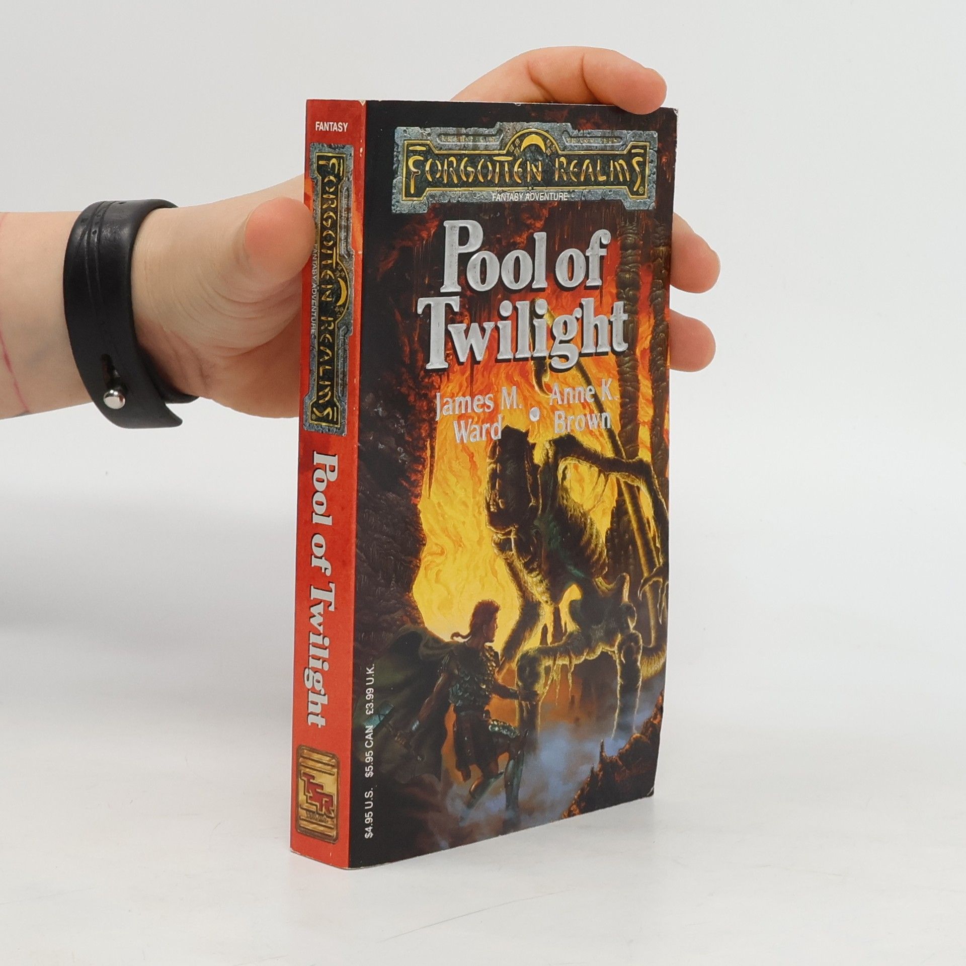 James M. Ward Pool of Twilight