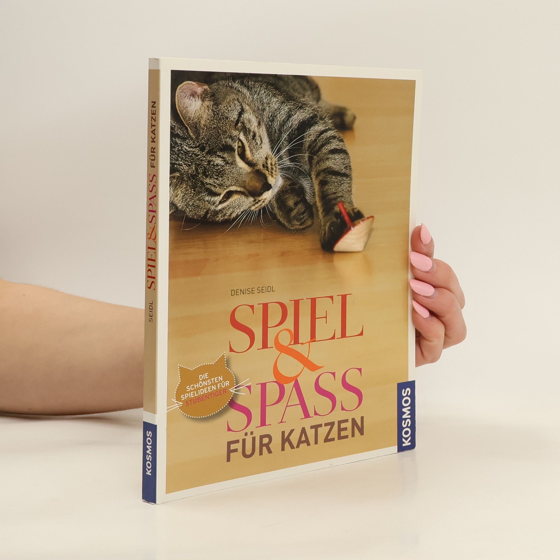 Denise Seidl Spiel & Spass für Katzen