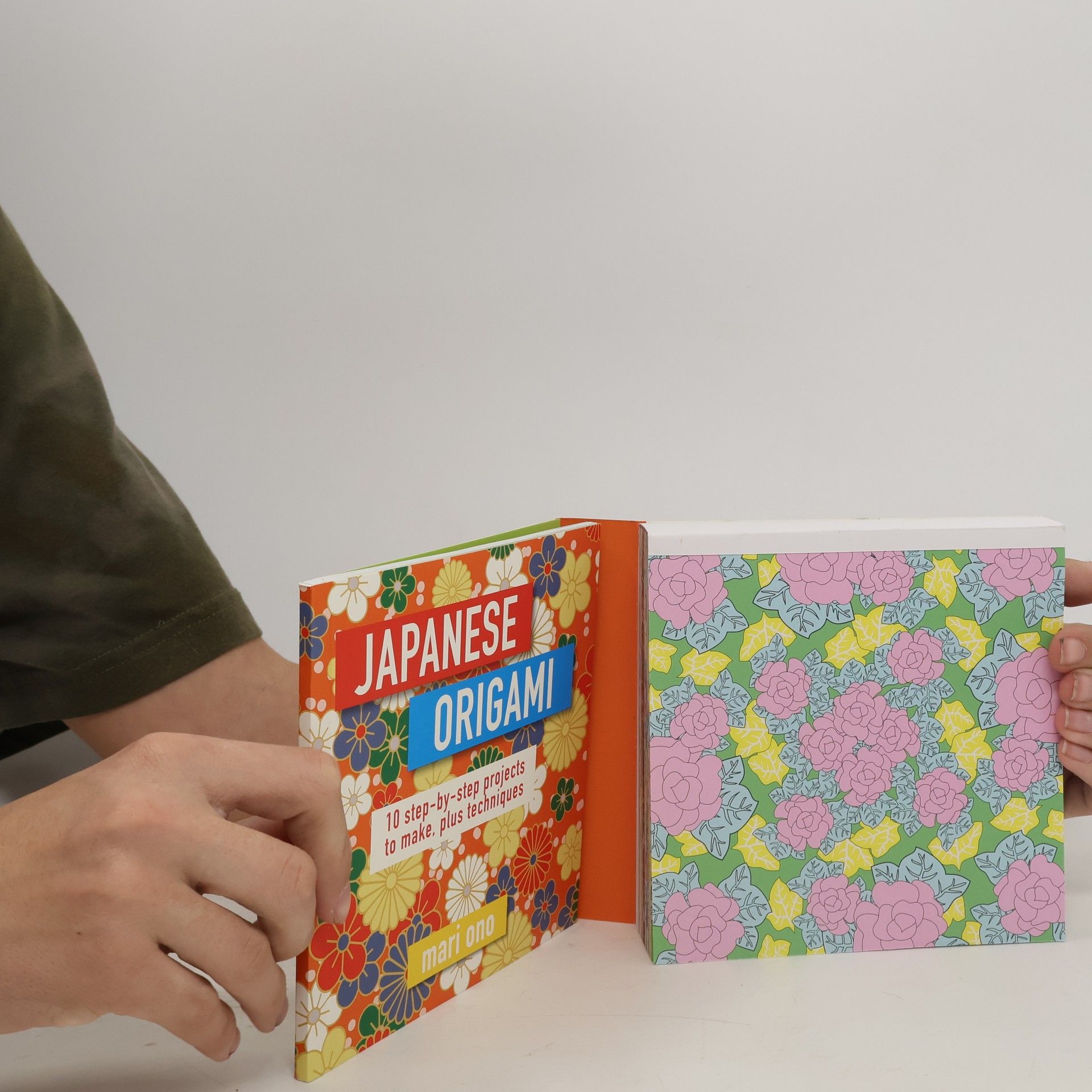 Mari Ono Japanese Origami