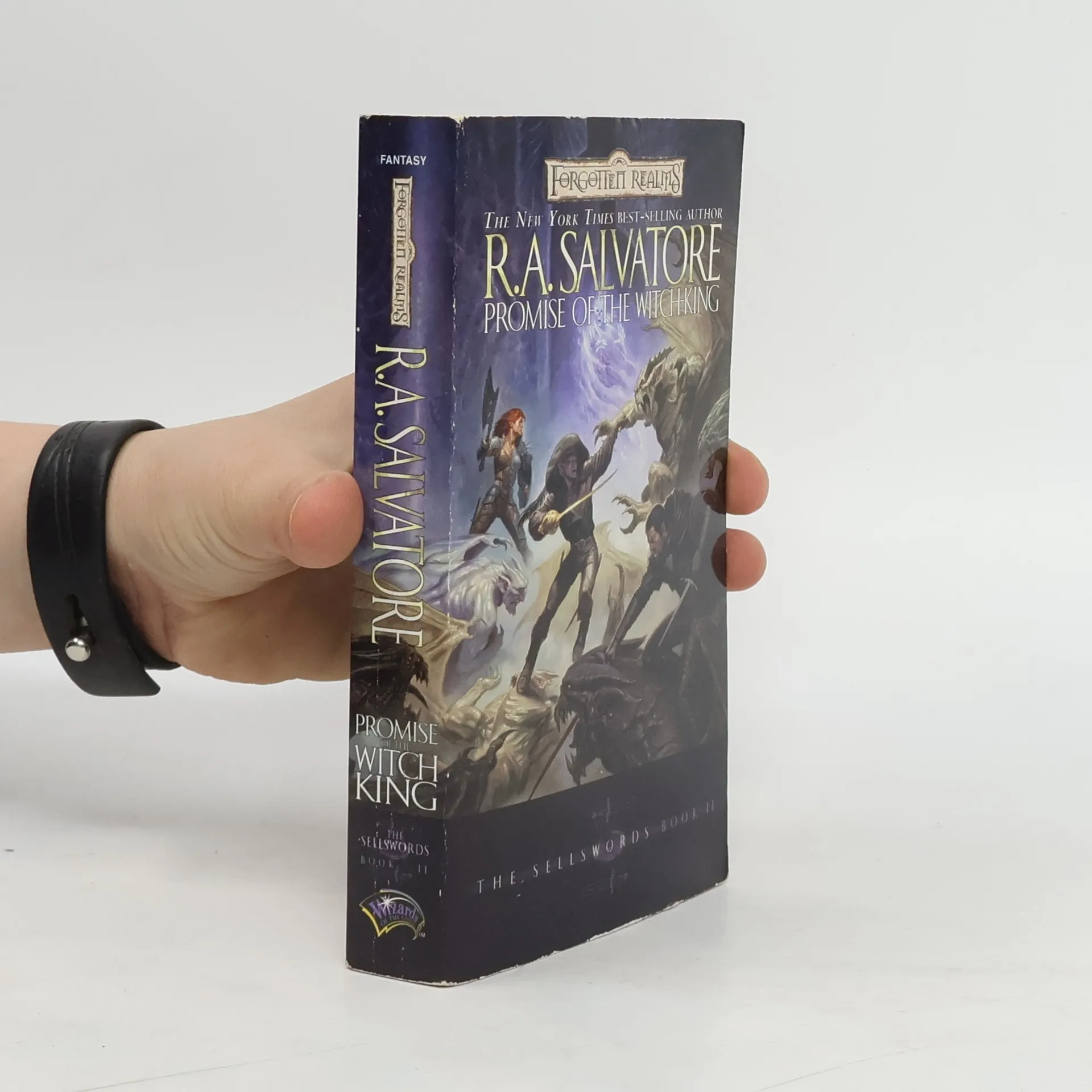 Promise of the Witch-King | Book | Paperback | R. A. Salvatore | EN