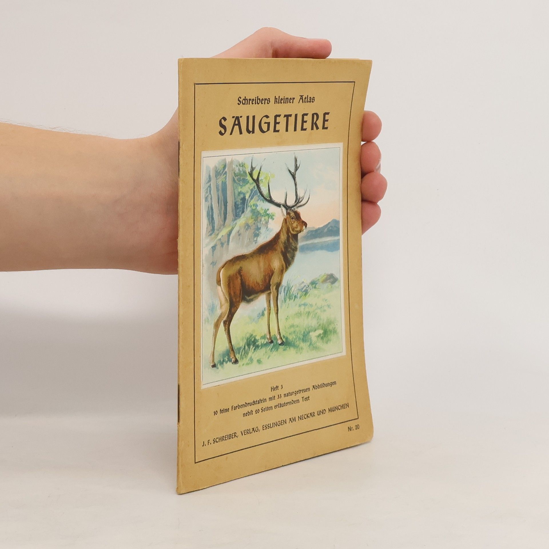 Autorenkollektiv Schreibers kleiner Atlas Säugetiere