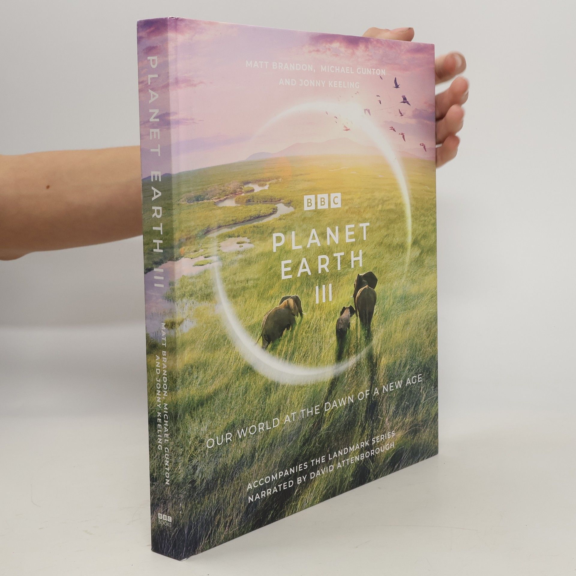 Matt Brandon Planet Earth III
