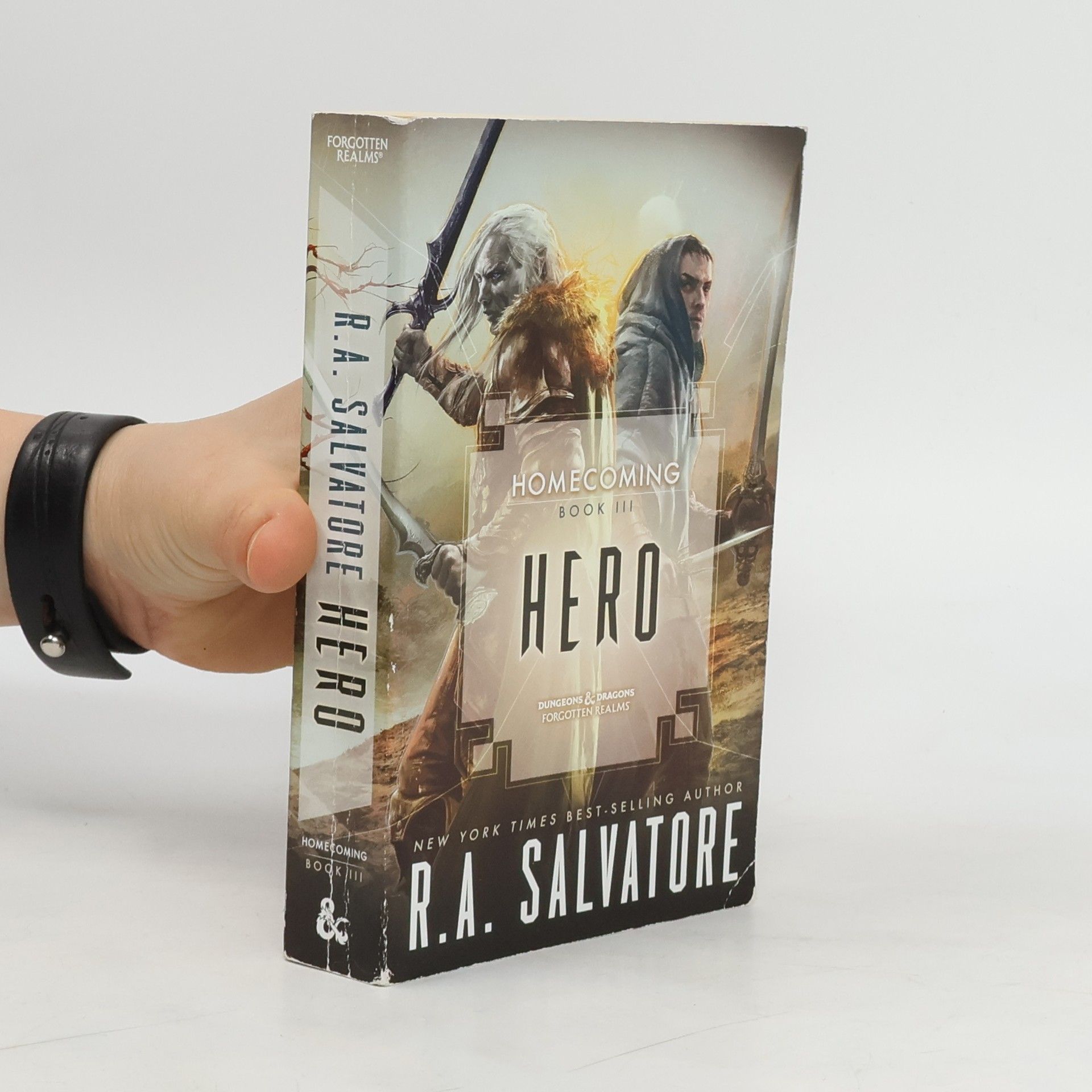 R. A. Salvatore Hero