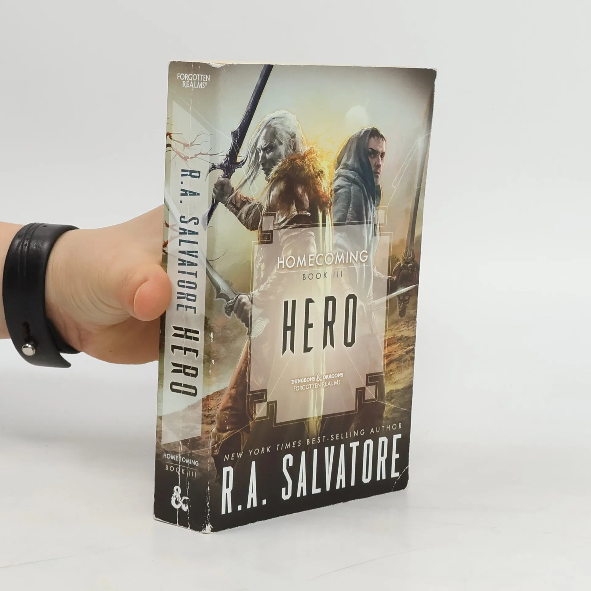 Hero | Book | Paperback | R. A. Salvatore | EN