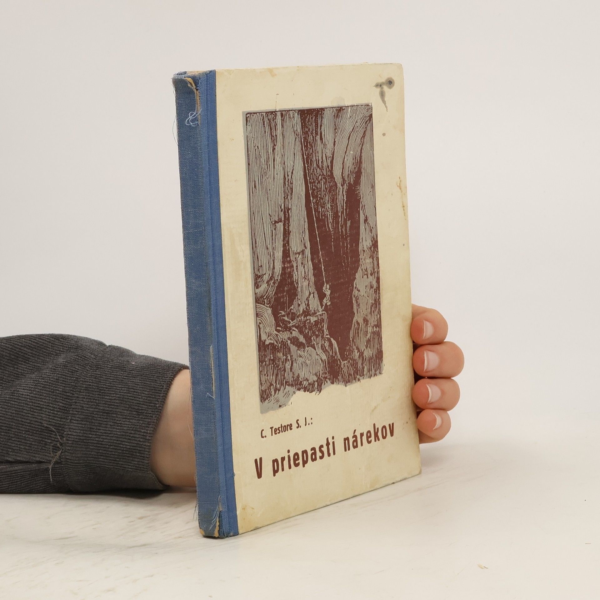 Celestino Testore V priepasti nárekov