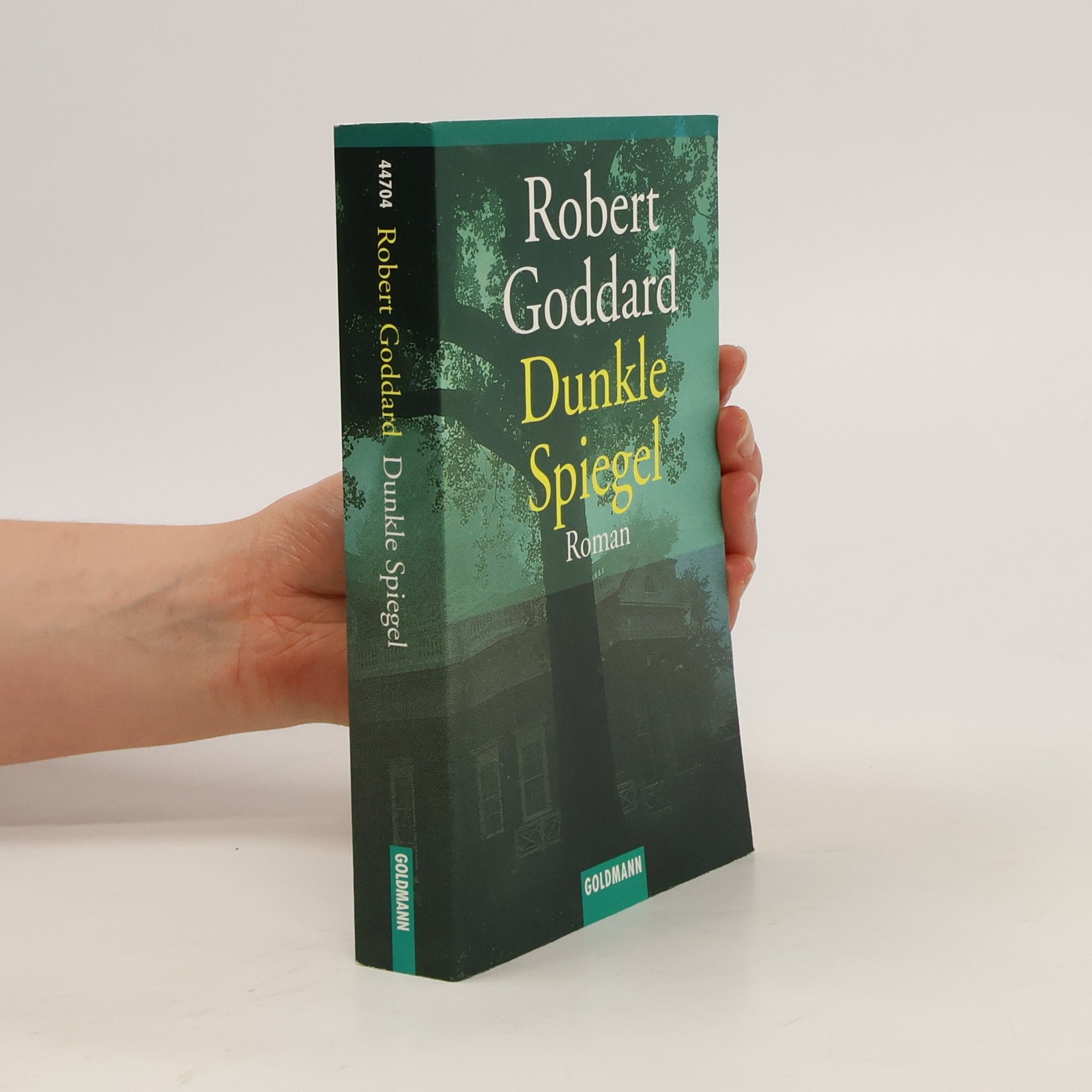 Robert Goddard Dunkle Spiegel