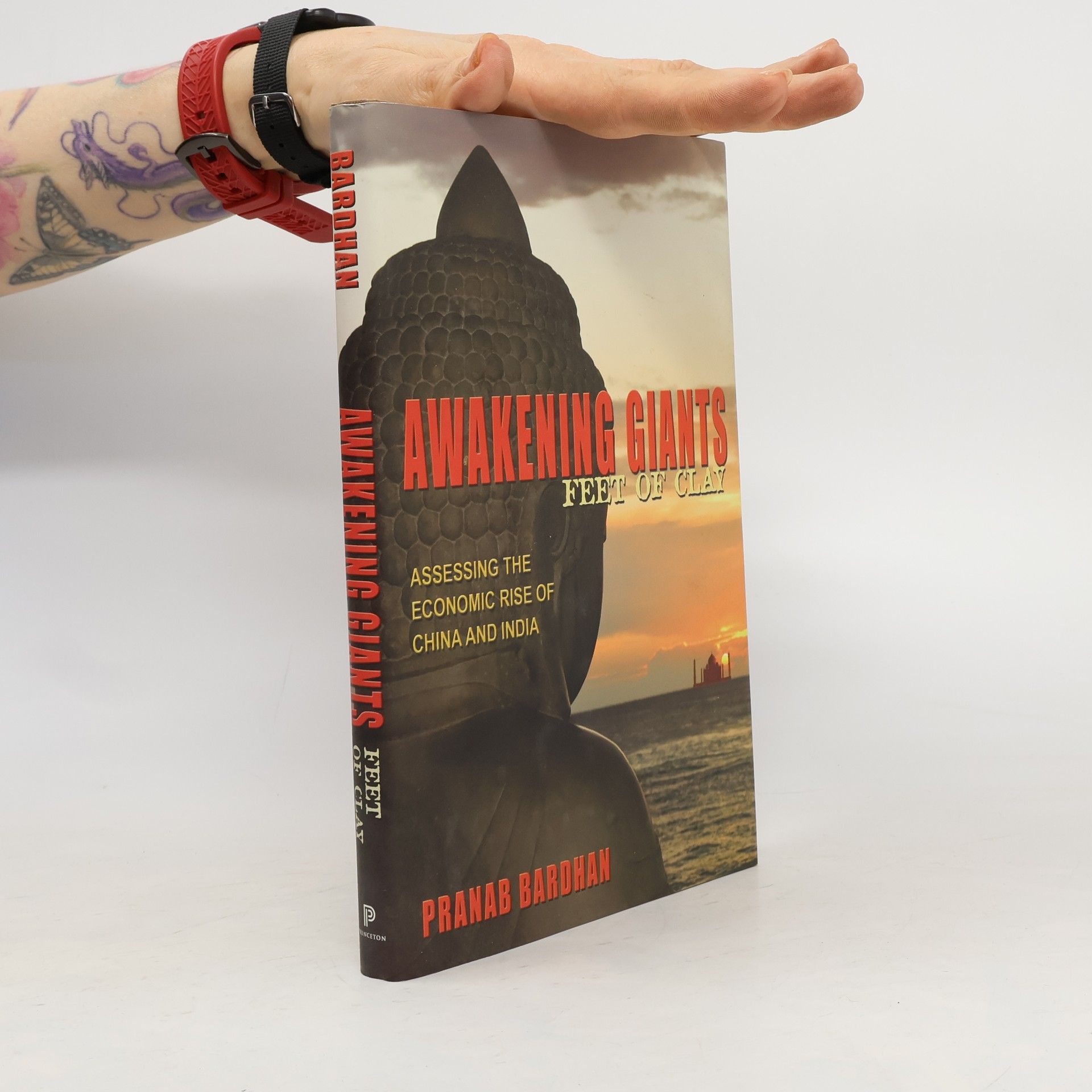 Pranab K Bardhan Awakening giants, feet of clay assessing the economic rise of China and India