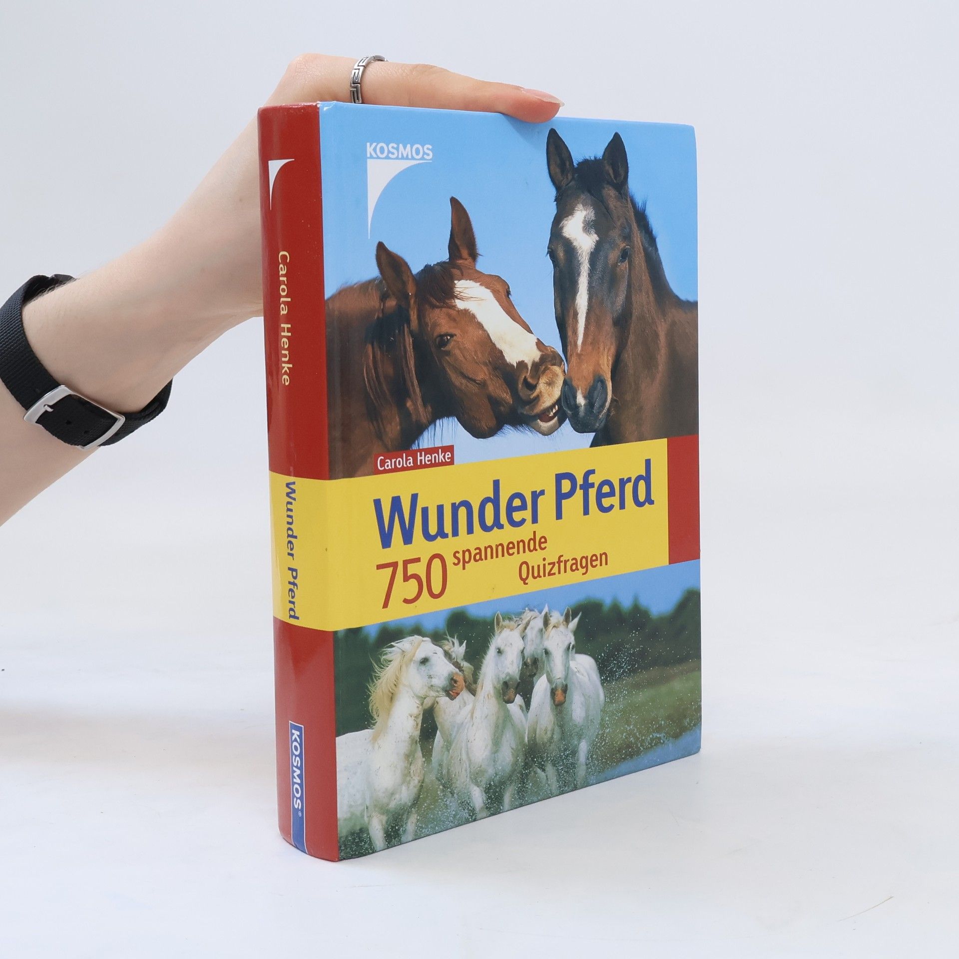 Carola Henke Wunder Pferd