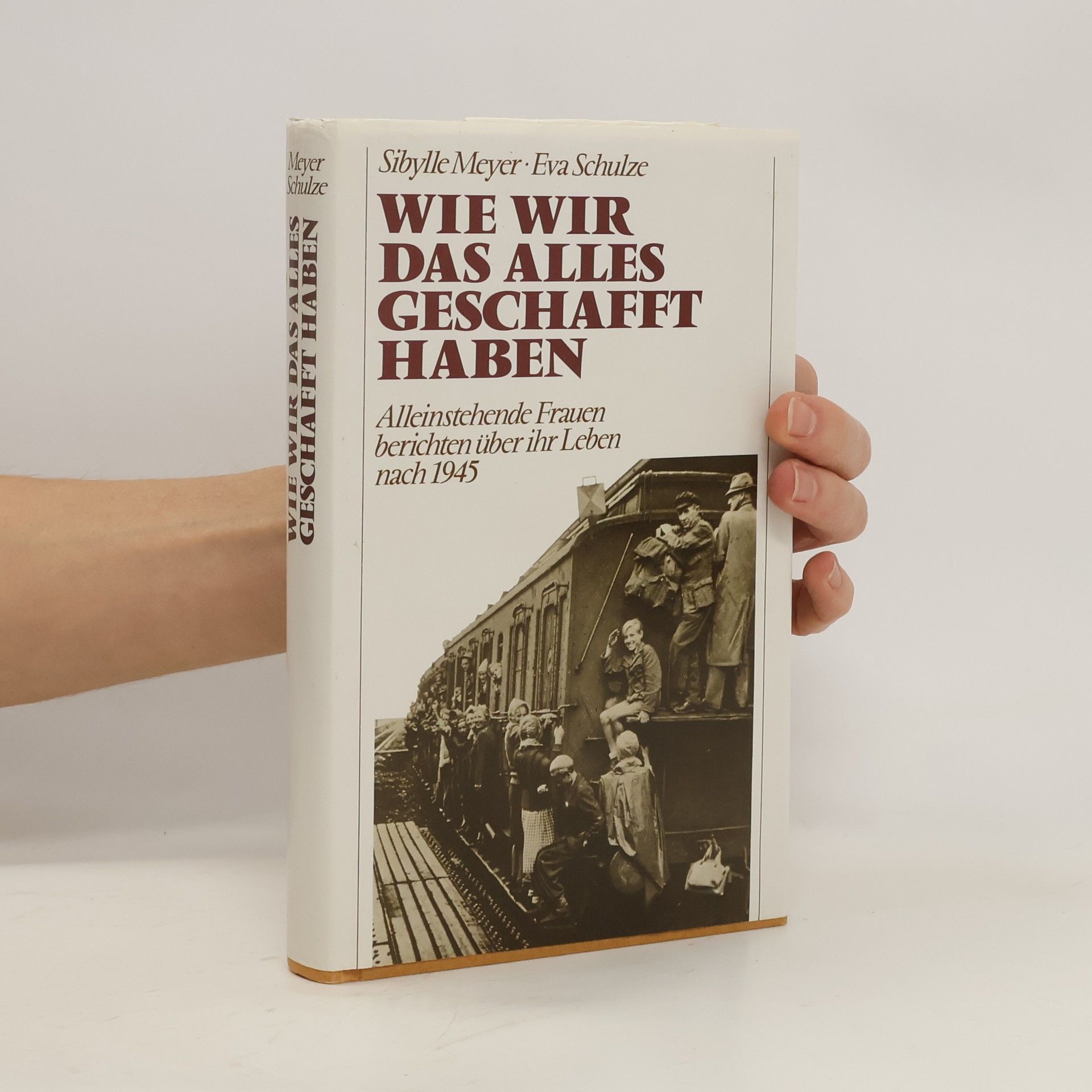 Sibylle Meyer Wie Wir das Alles Geschafft Haben