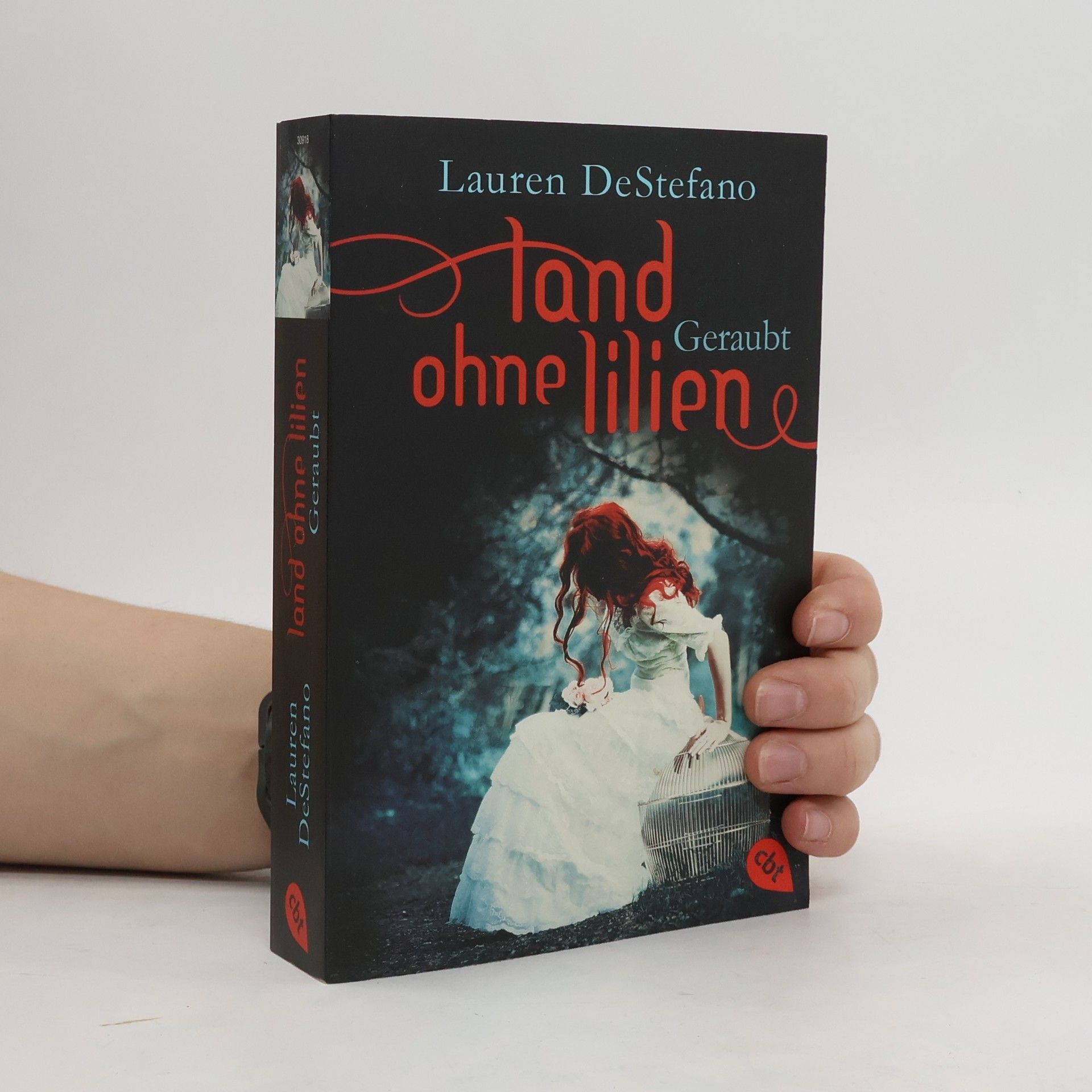 Lauren DeStefano Land ohne Lilien