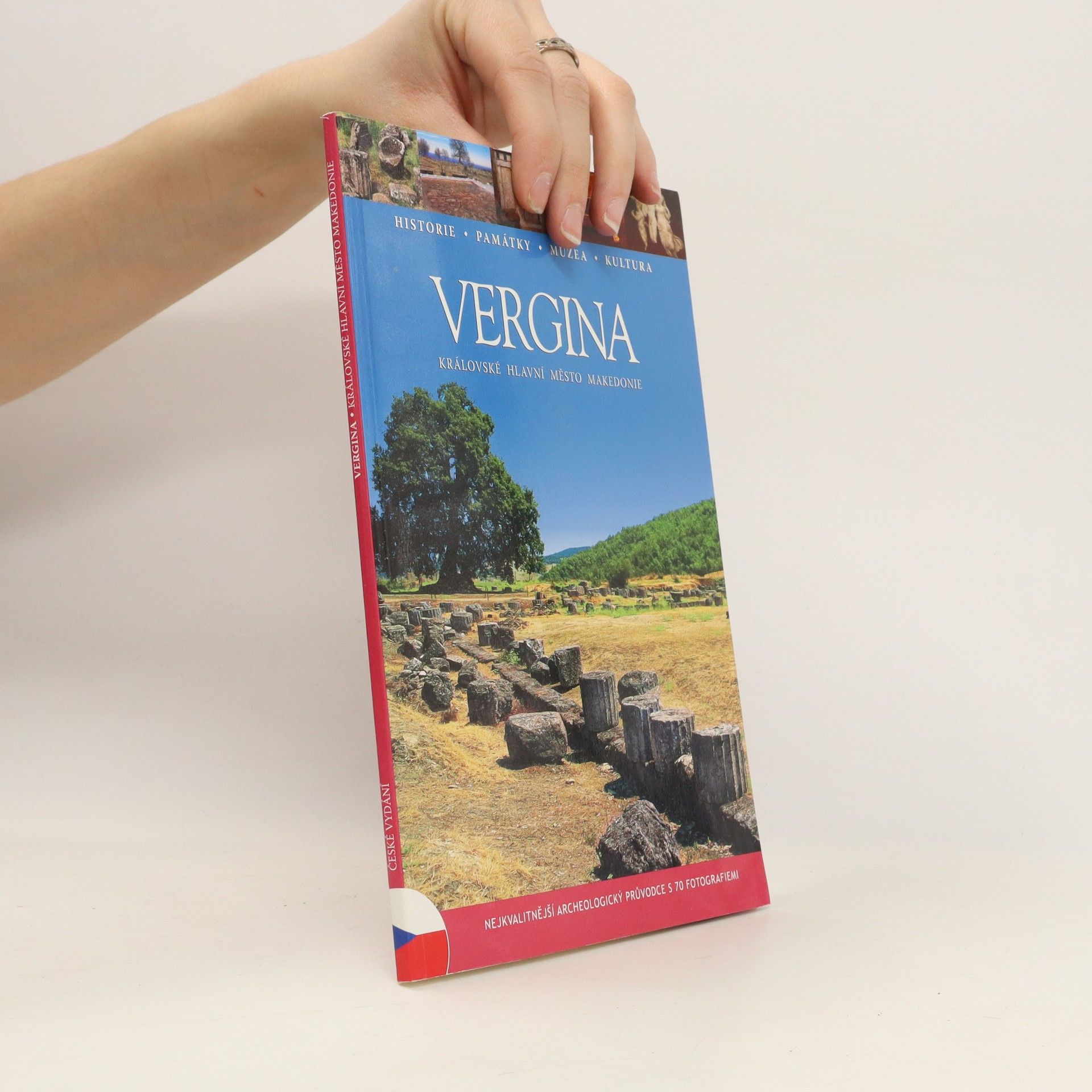 Autorenkollektiv Vergina. Kralovske hlavni mesto Makedonie