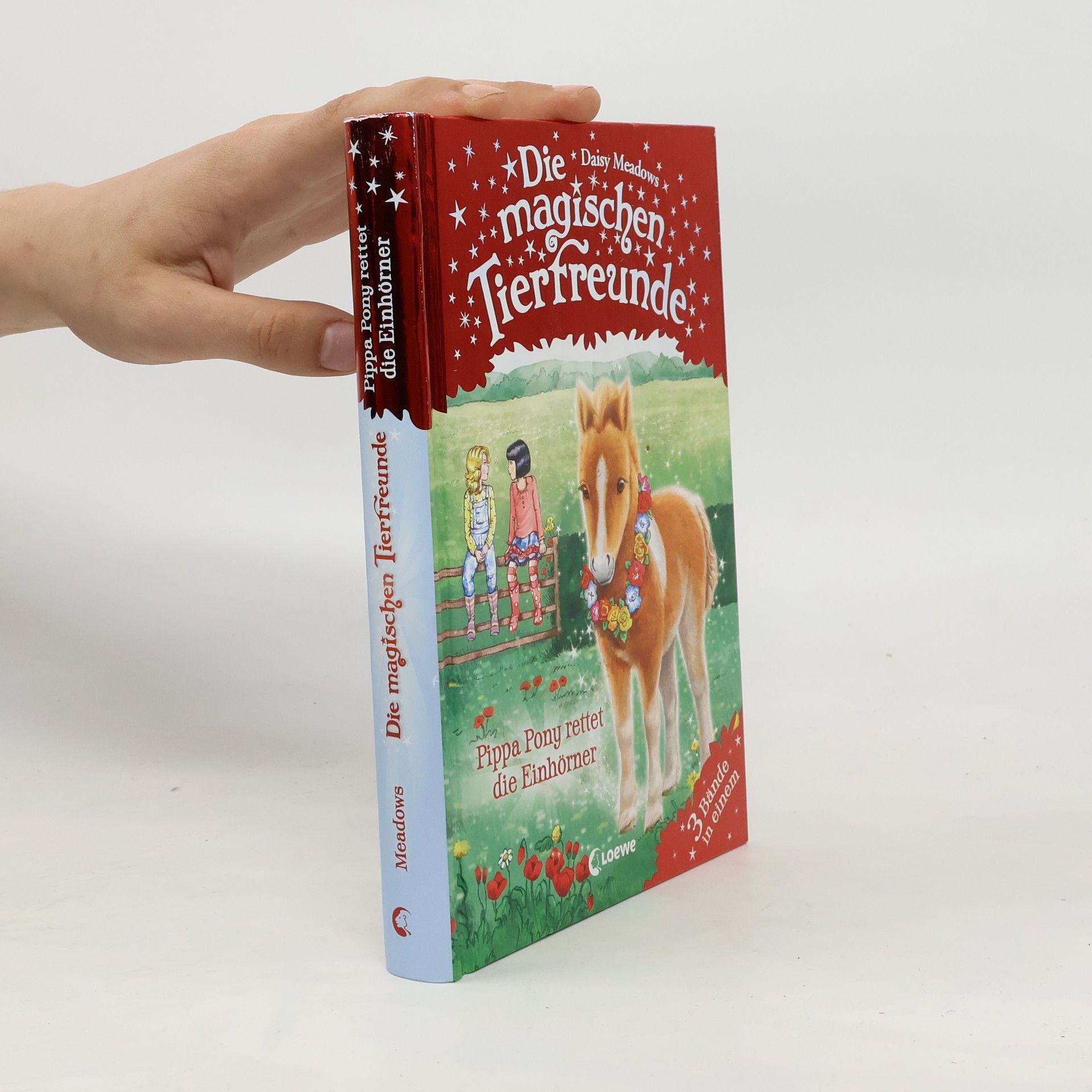 Daisy Meadows Pippa Pony rettet die Einhörner