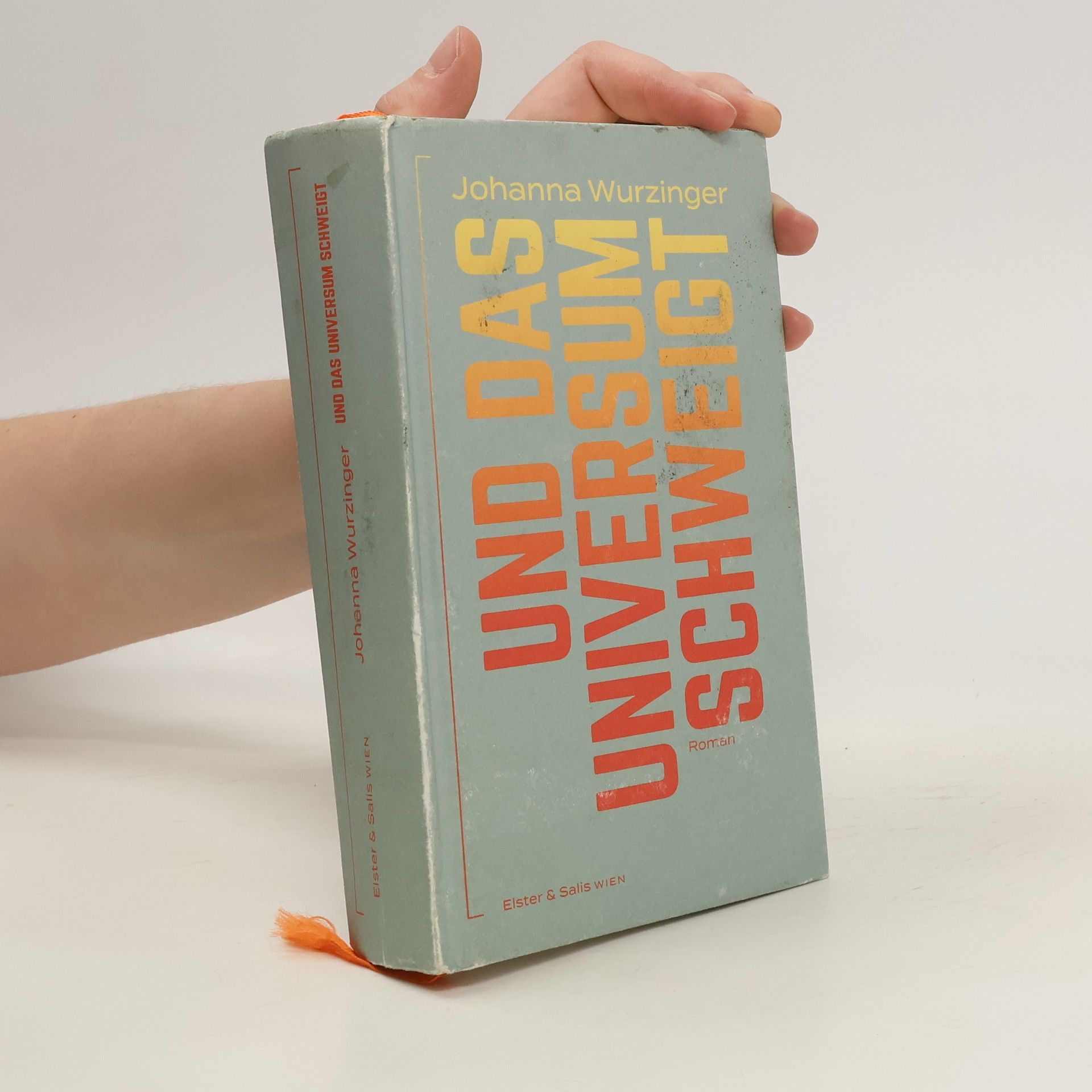 Johanna Wurzinger Und das Universum schweigt