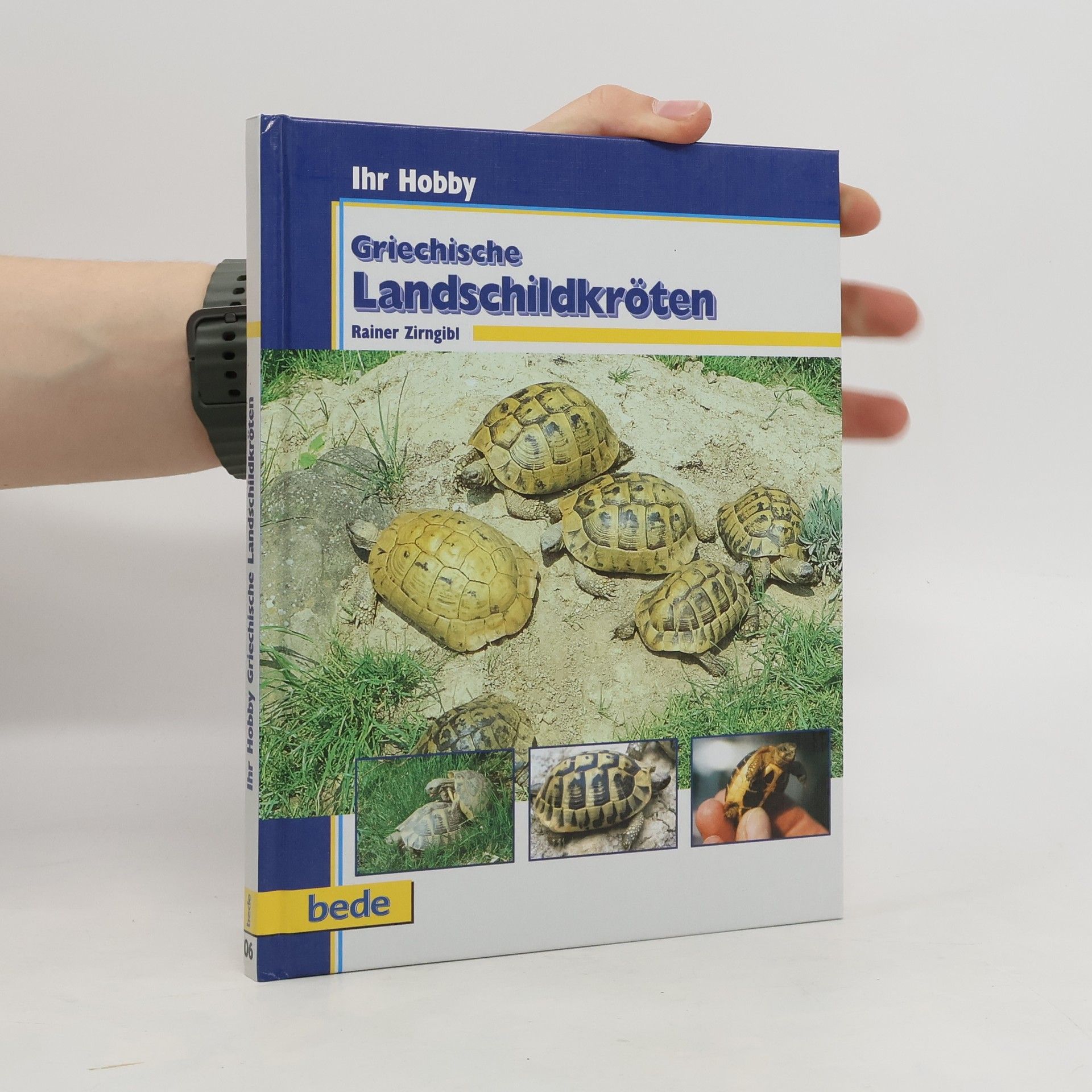 Rainer Zirngibl Griechische Landschildkröten