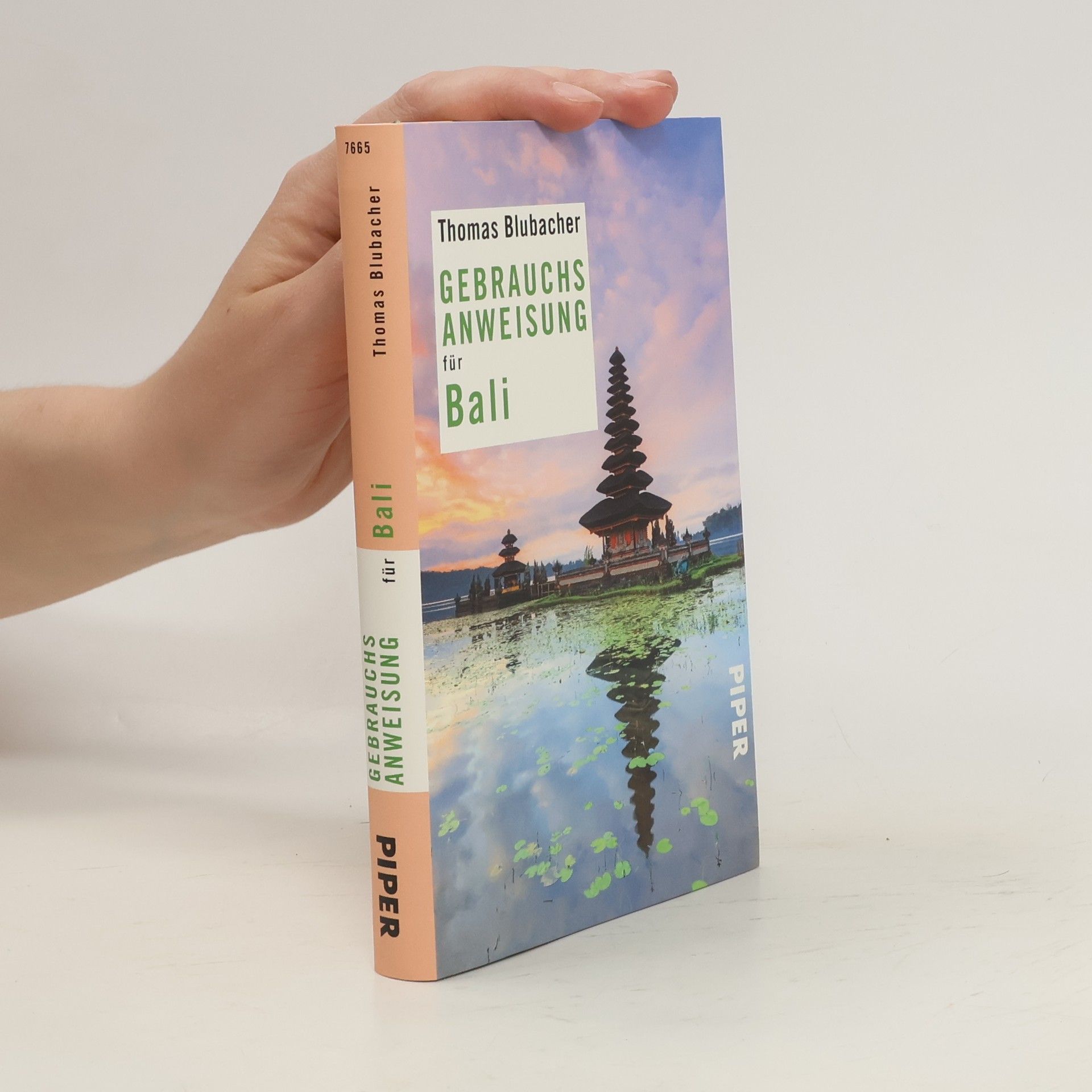 Thomas Blubacher Gebrauchsanweisung für Bali