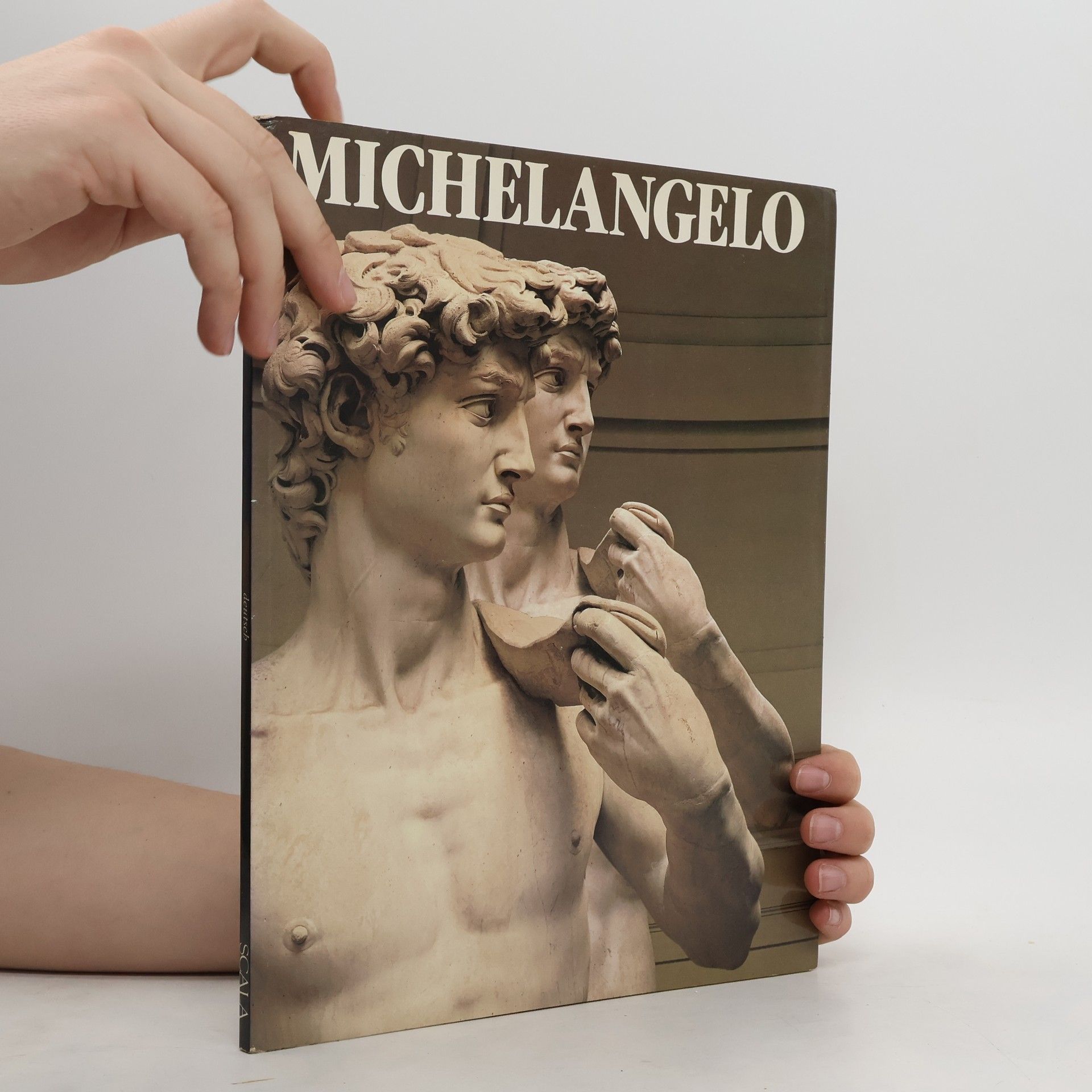 Collectif d'auteurs Michelangelo