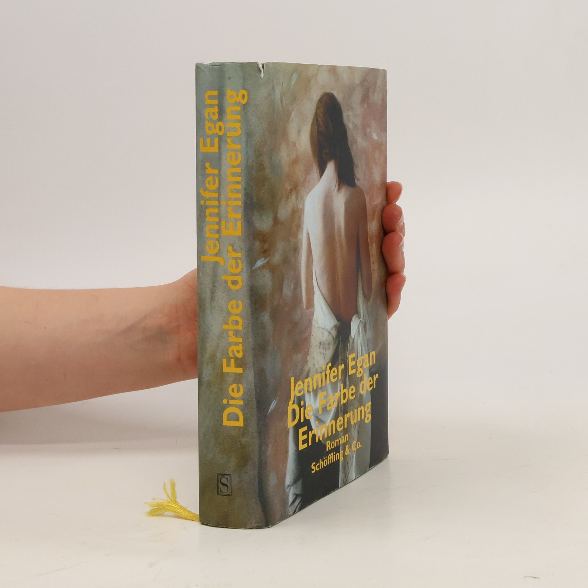 Jennifer Egan Die Farbe der Erinnerung