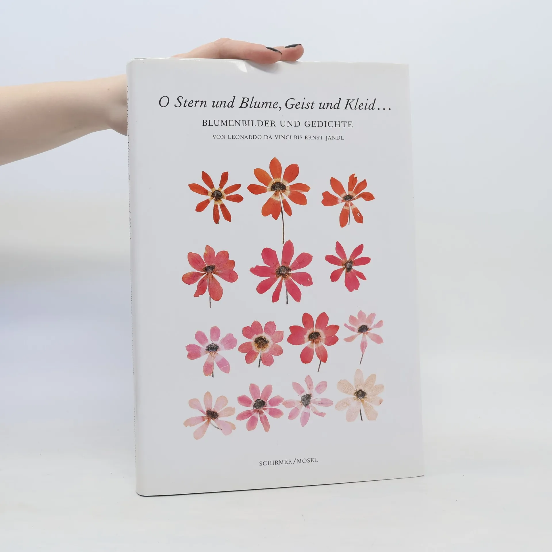 O Stern und Blume, Geist und Kleid ... | Book | Marianne Schneider | DE
