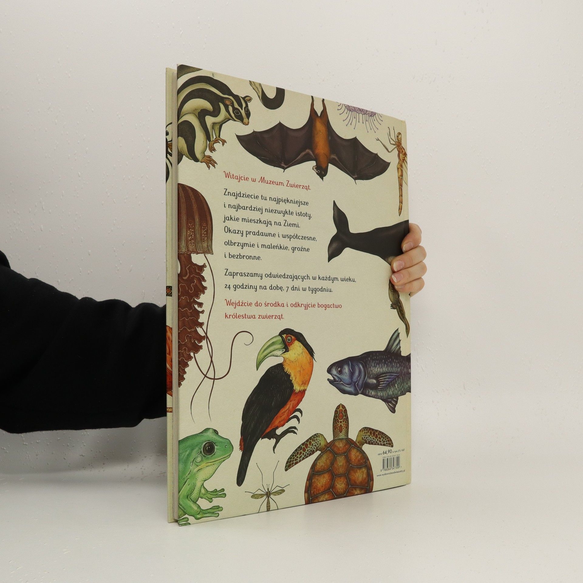 Katie Scott Animalium : muzeum zwierząt