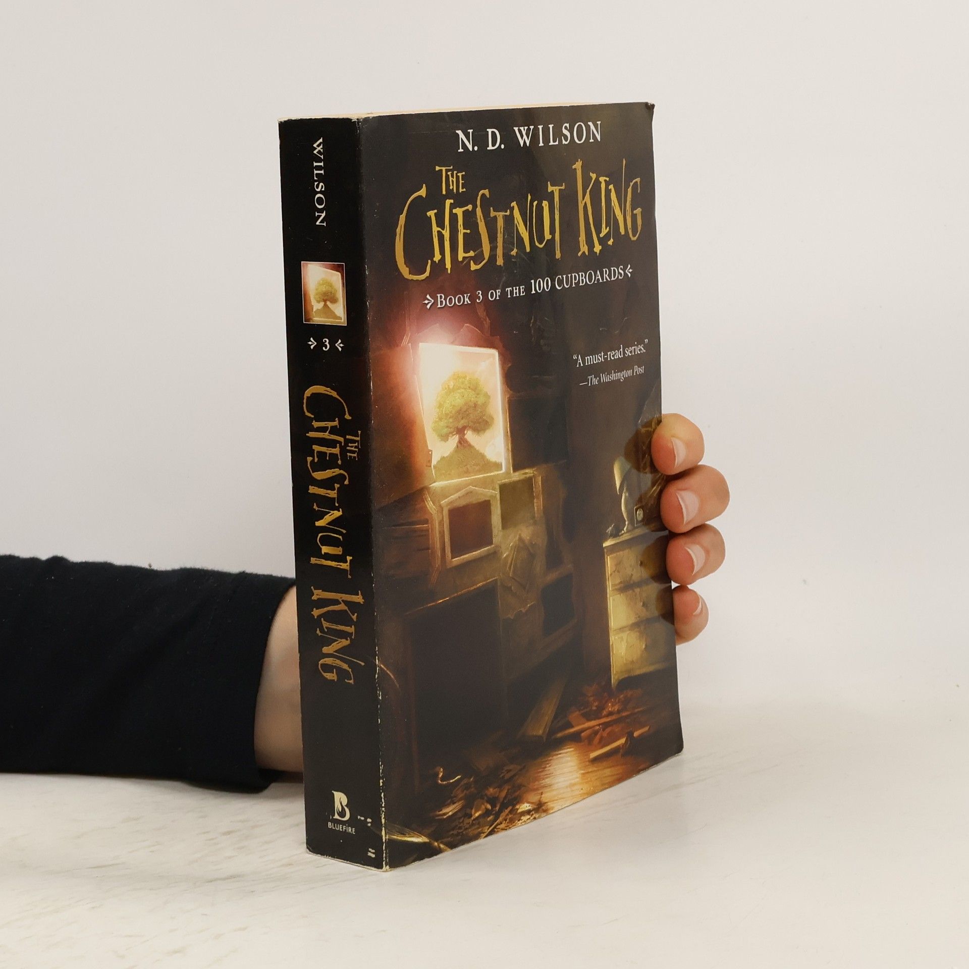 Wilson N. D. The Chestnut King (100 Cupboards Book 3)
