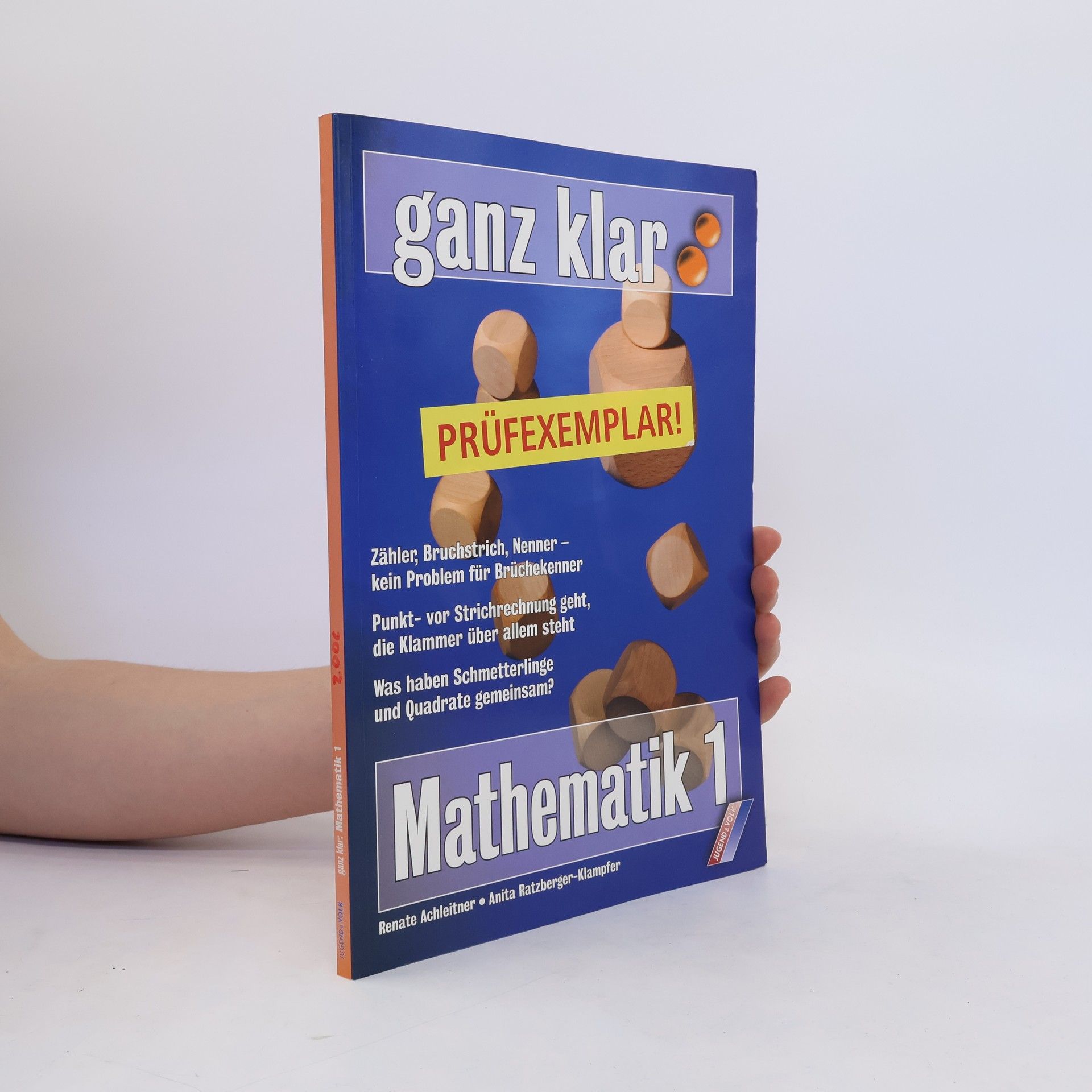 Collectif d'auteurs Ganz Klar. Mathematik 1