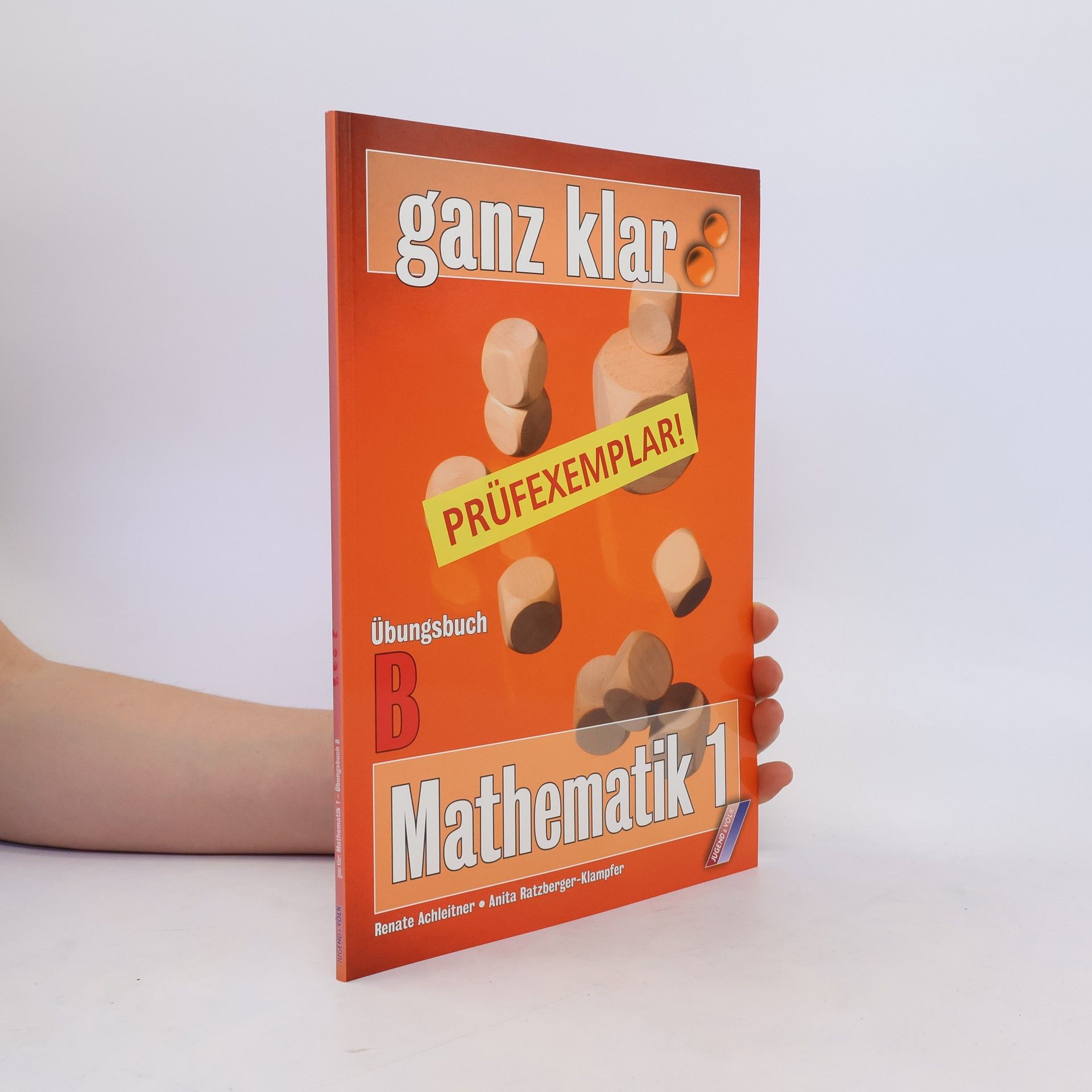 Collectif d'auteurs ganz klar: Mathematik 1. Übungsbuch B