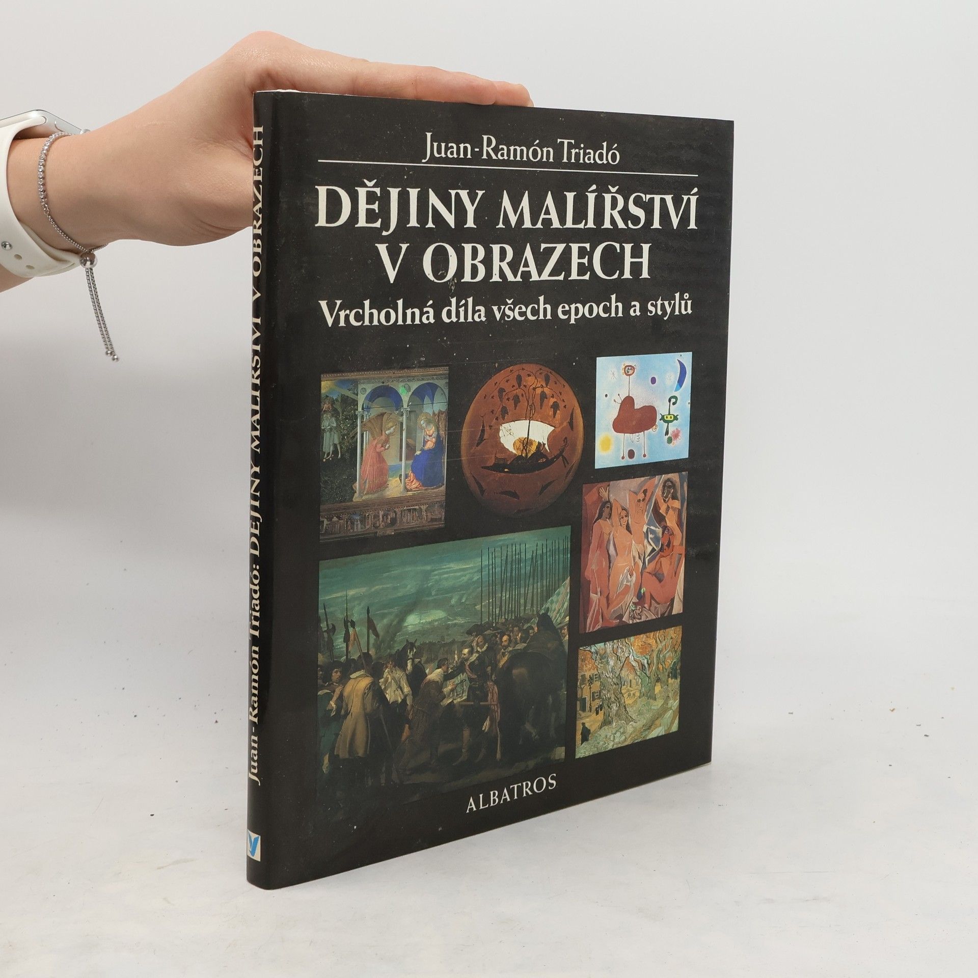 Václav Konečný Dějiny malířství v obrazech : vrcholná díla všech epoch a stylů