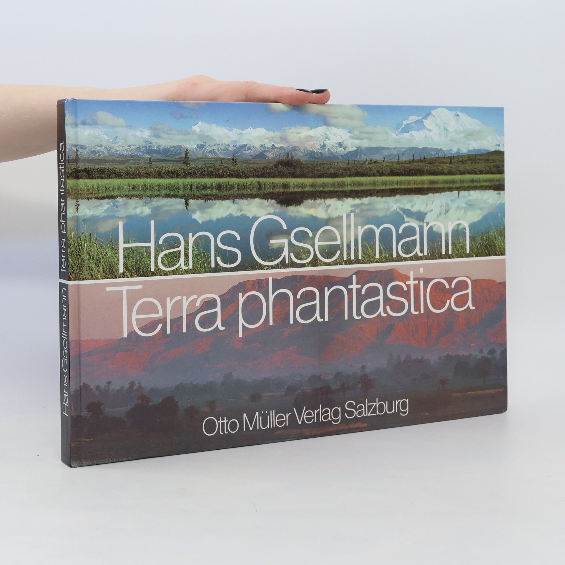 Hans Gsellmann Terra phantastica