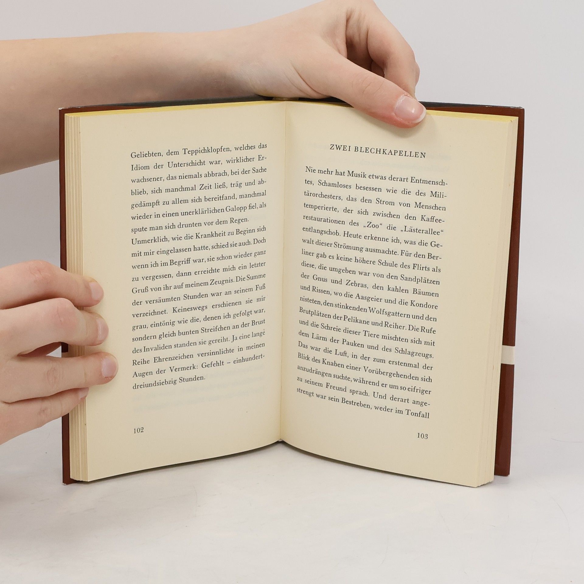 Walter Benjamin Berliner Kindheit um Neunzehnhundert