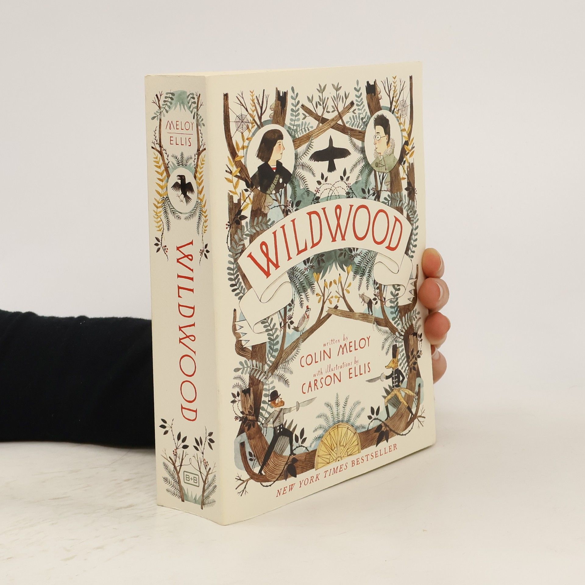 Colin Meloy Wildwood