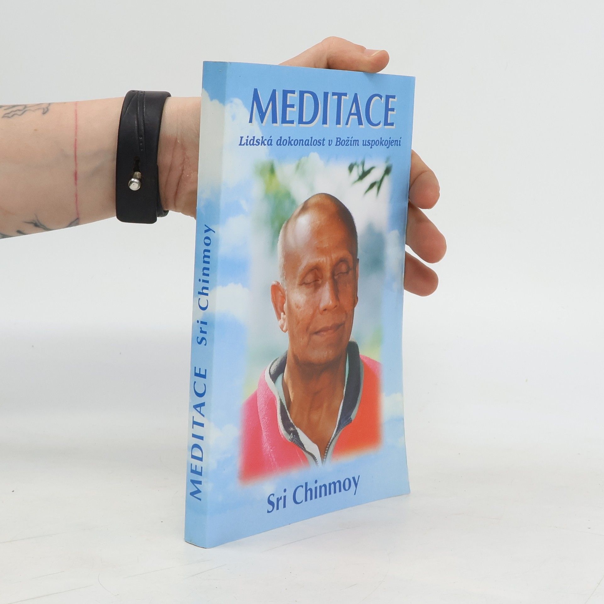 Sri Chimnoy Mediatce