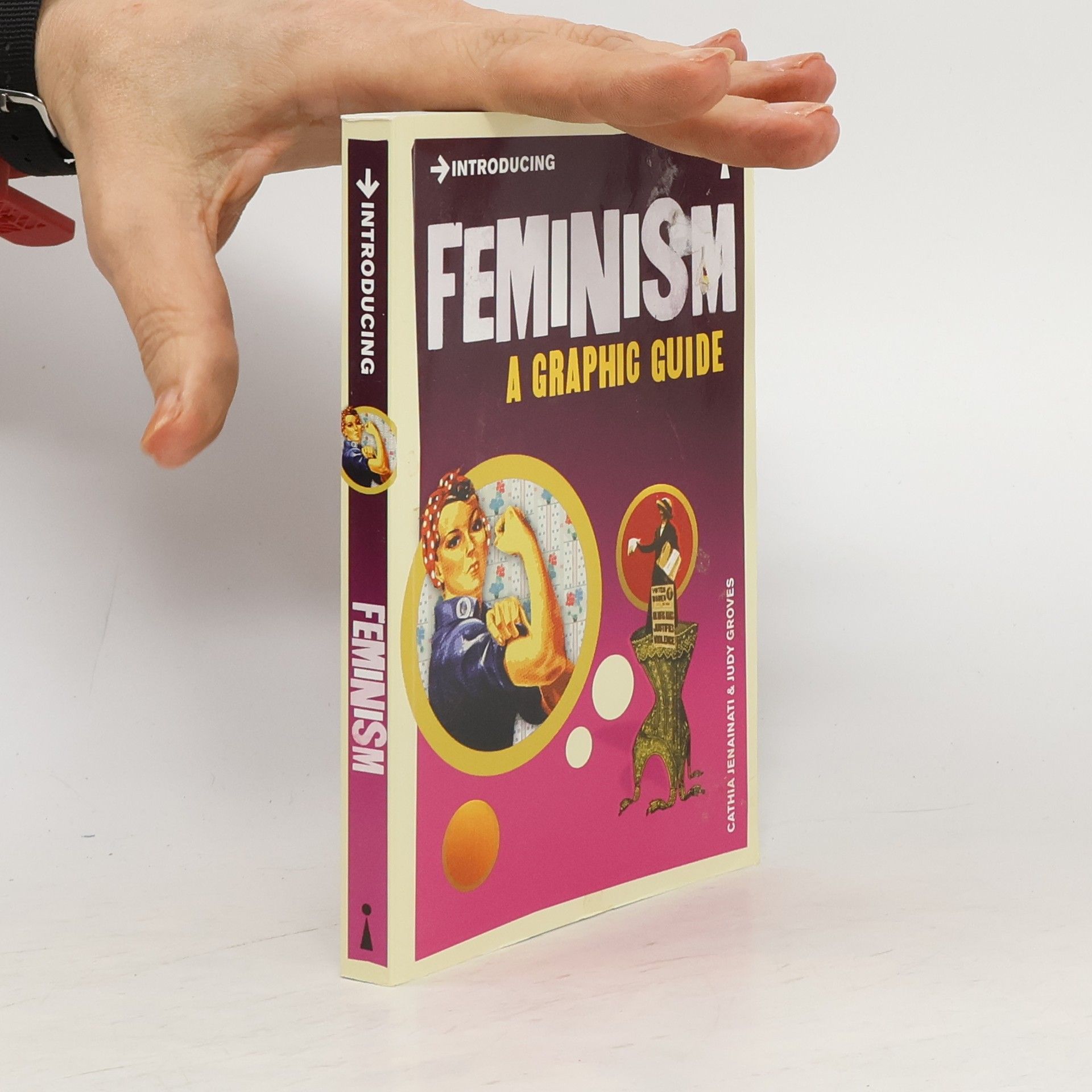 Cathia Jenainati Introducing Feminism