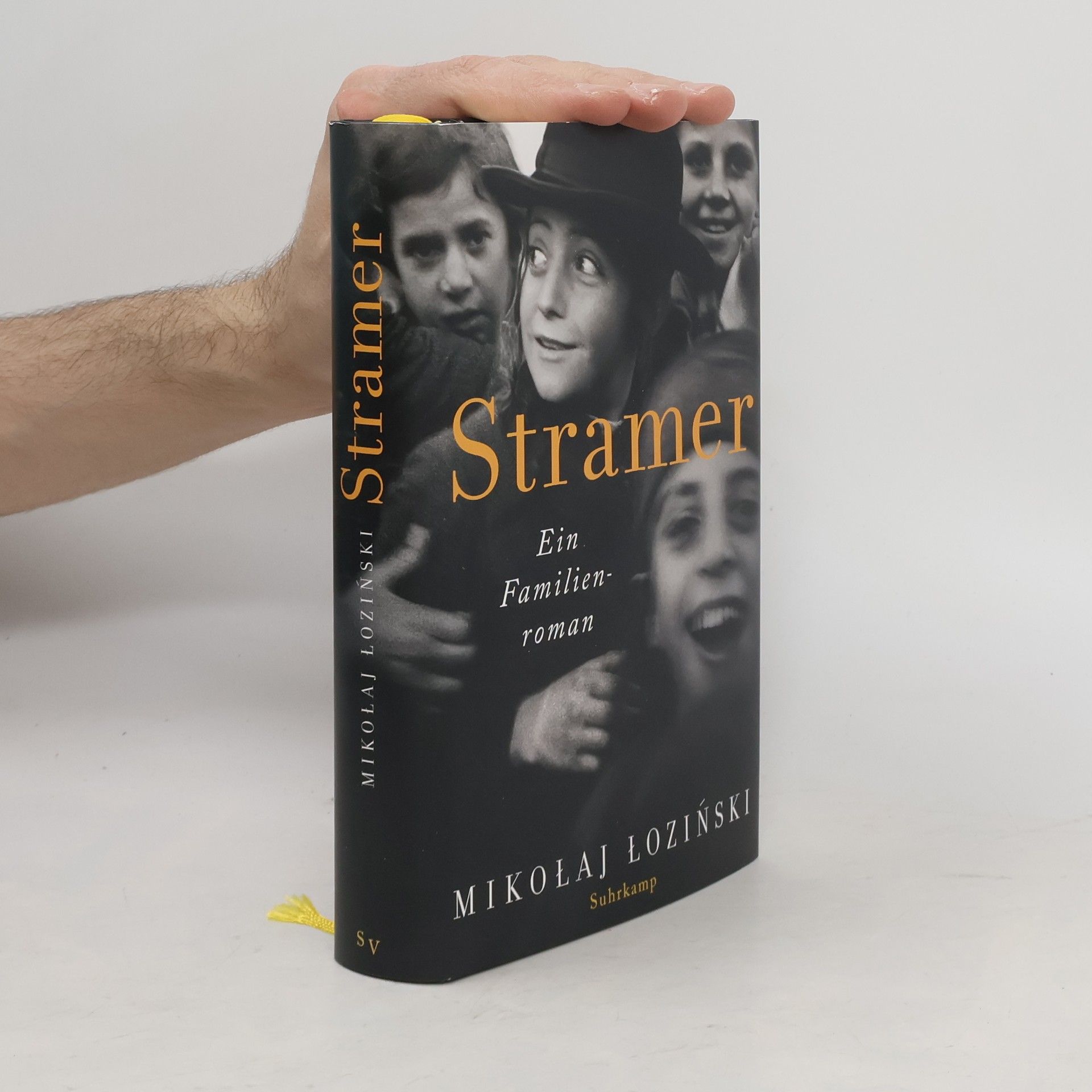 Mikołaj Łoziński Stramer. Ein Familienroman