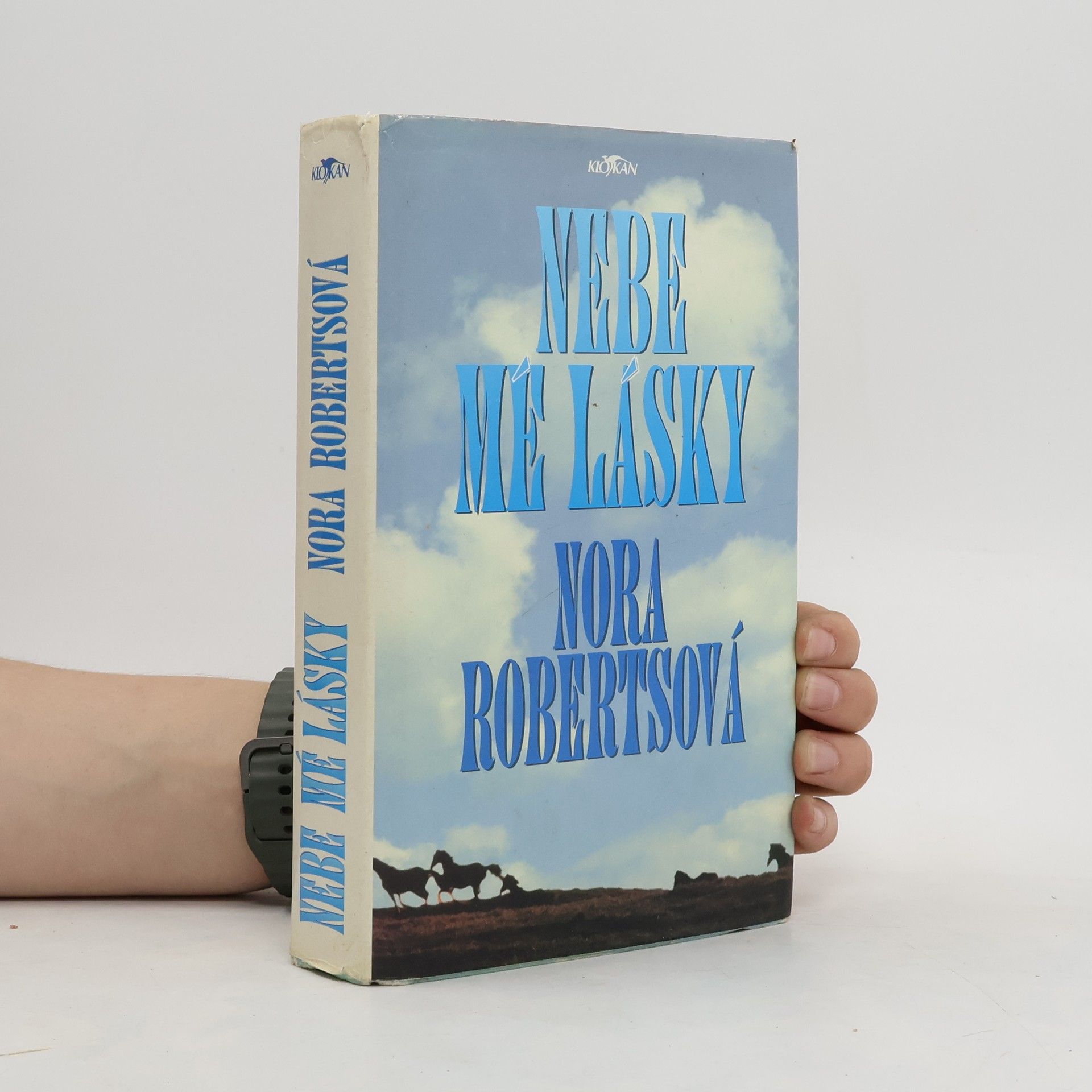 Nora Roberts Nebe mé lásky