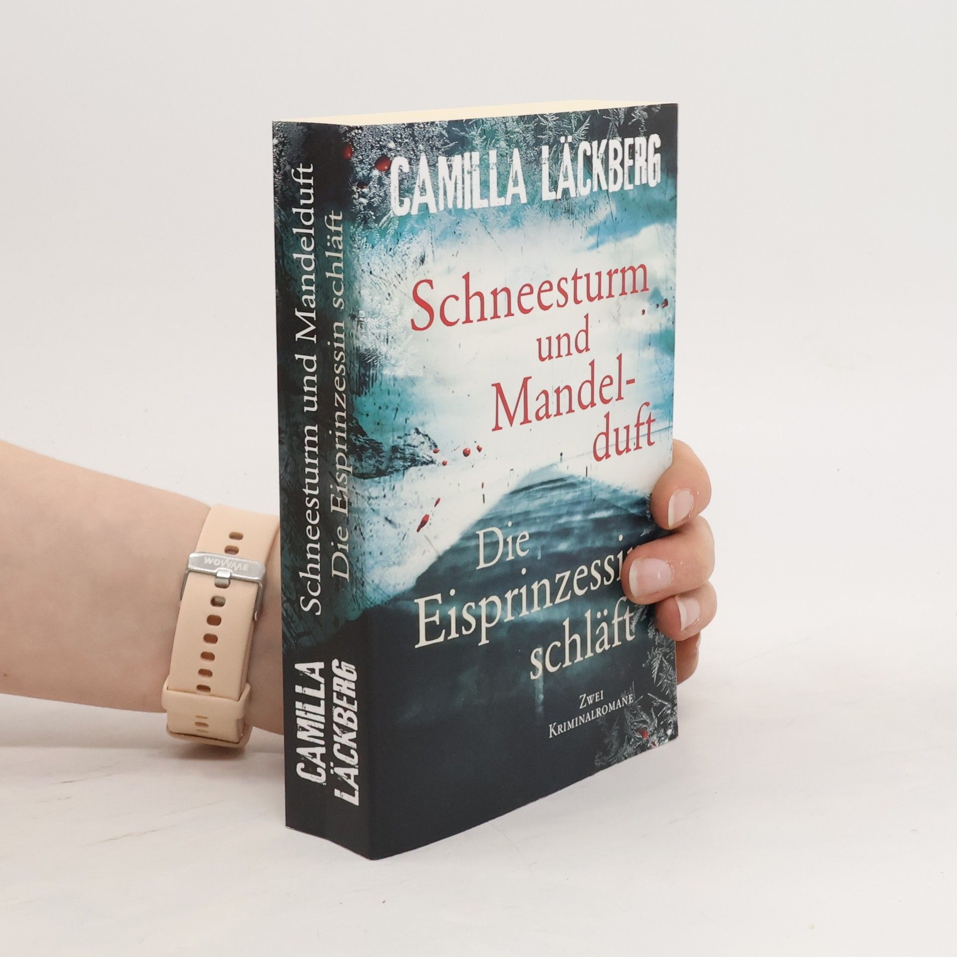 Camilla Läckberg Schneesturm und Mandelduft. Die Eisprinzessin schläft
